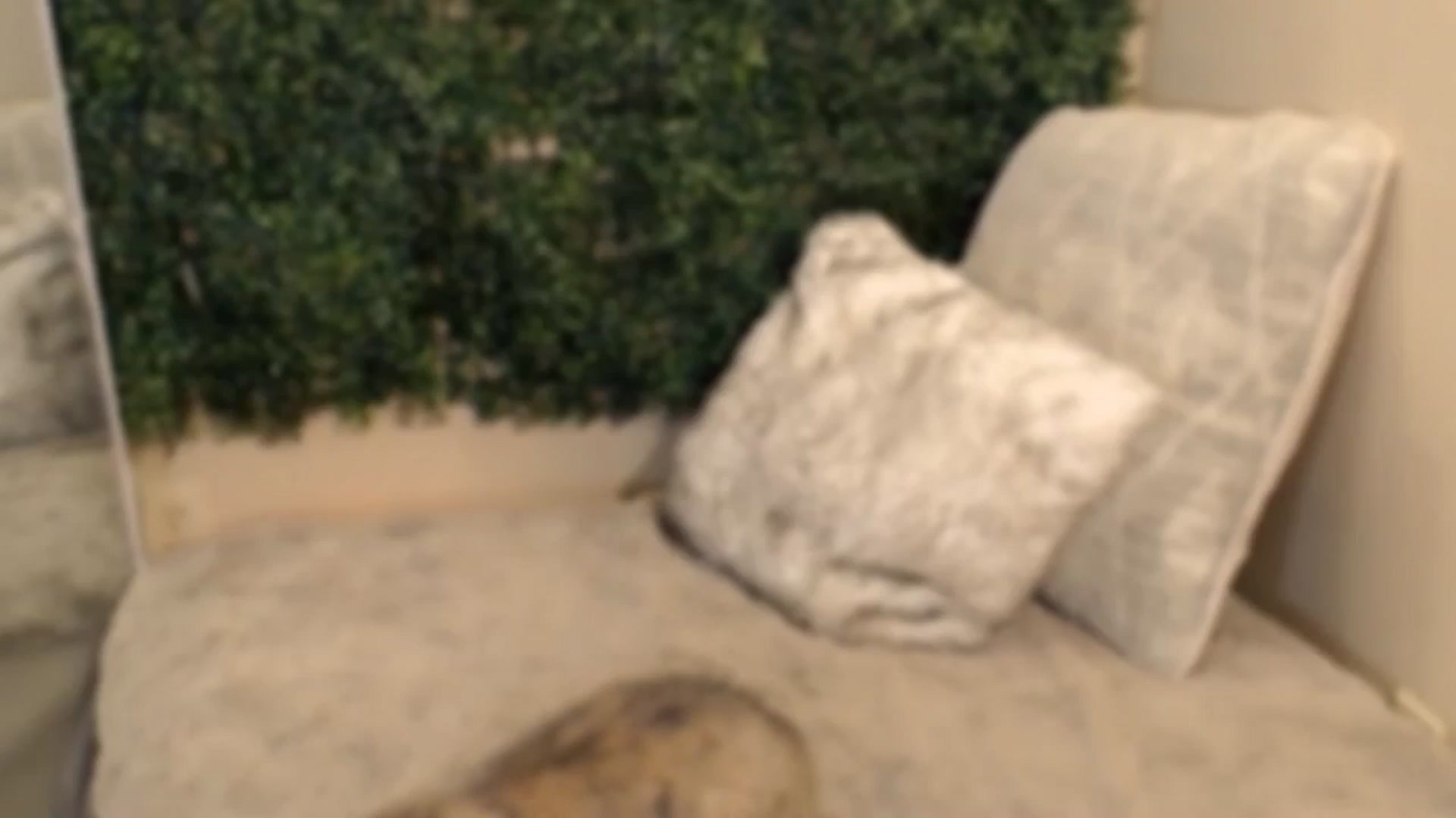 Gallery image thumbnail from Divine_Honey's myfreecams stream on, 08/16/2025, 14:26 image 5 of 20