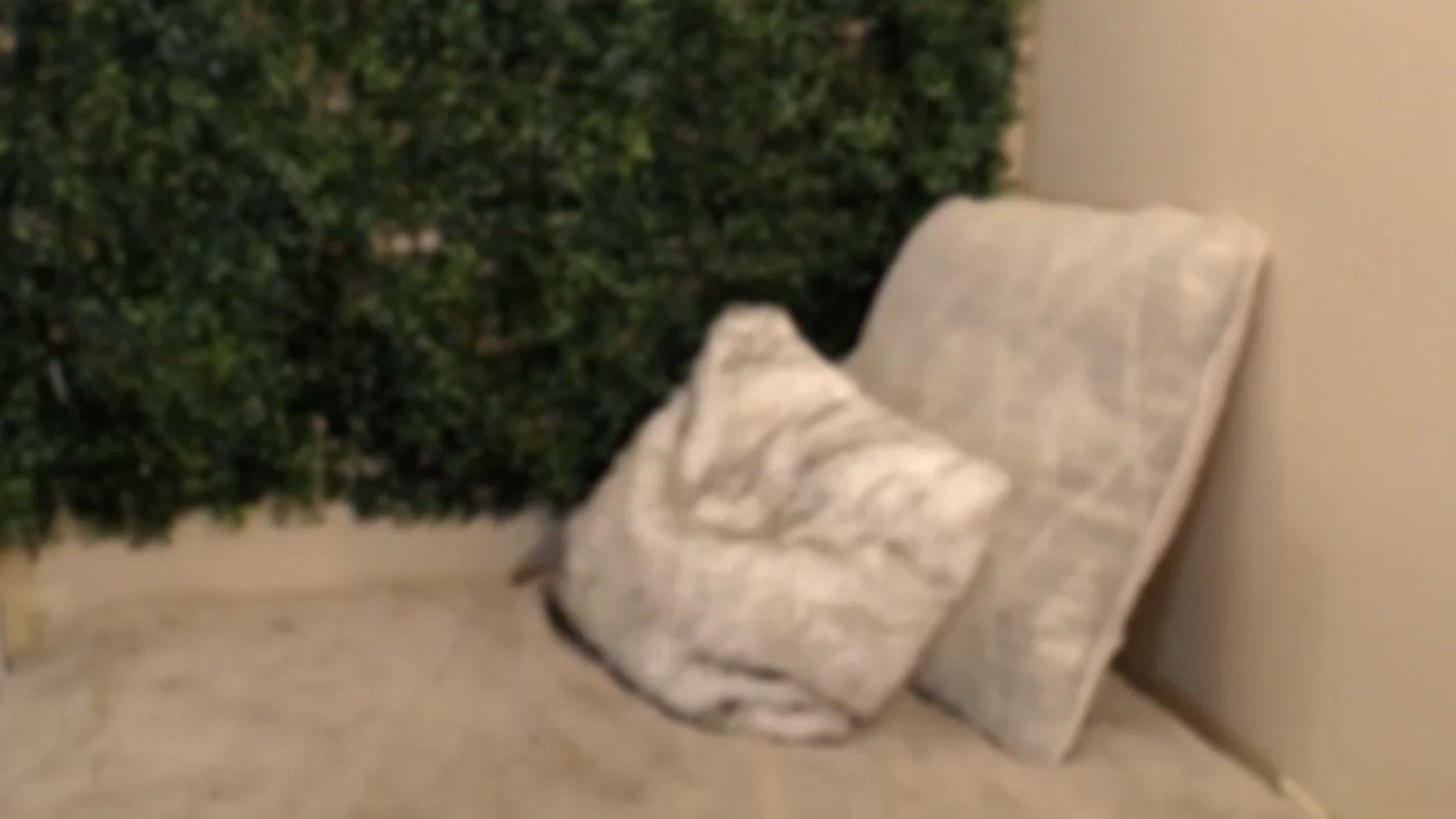 Gallery image thumbnail from Divine_Honey's myfreecams stream on, 08/16/2025, 16:28 image 17 of 20