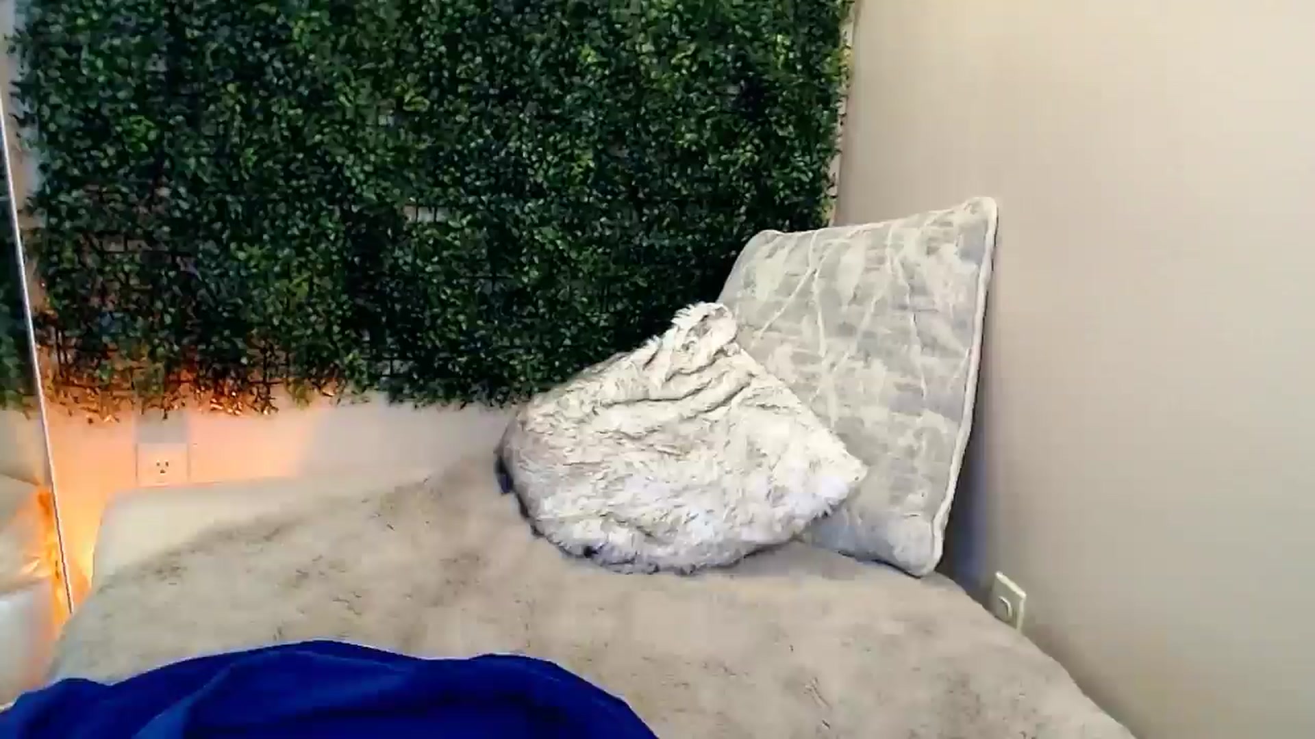 Gallery image thumbnail from Divine_Honey's myfreecams stream on, 09/06/2025, 22:09 image 10 of 20