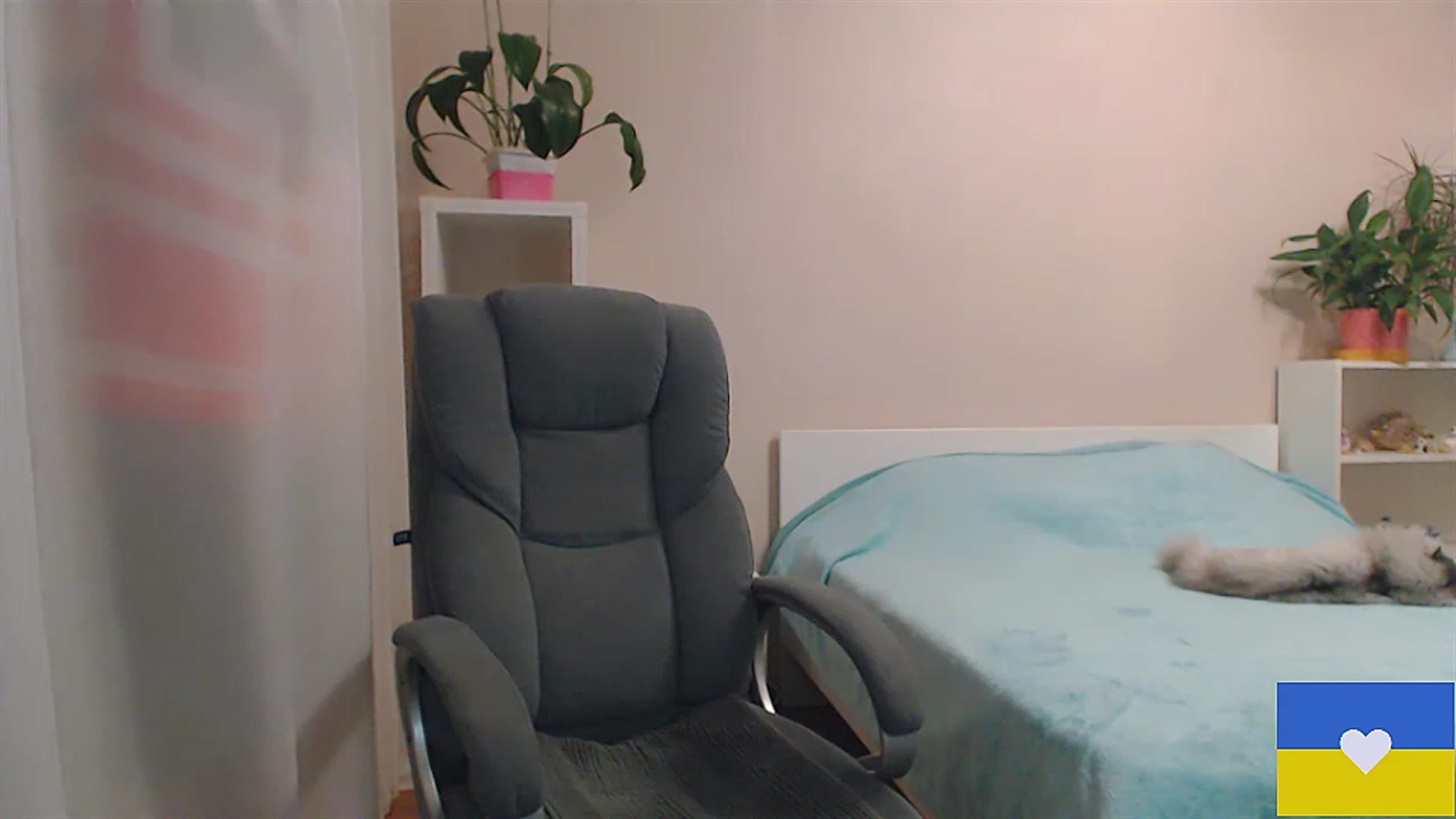 Gallery image thumbnail from Divine_Phenix's myfreecams stream on, 02/13/2023, 15:34 image 16 of 20