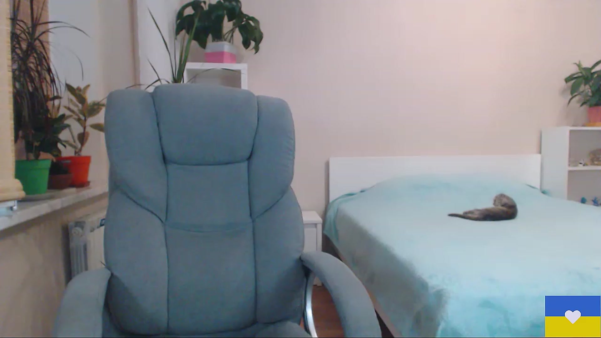 Gallery image thumbnail from Divine_Phenix's myfreecams stream on, 07/14/2023, 19:24 image 3 of 20