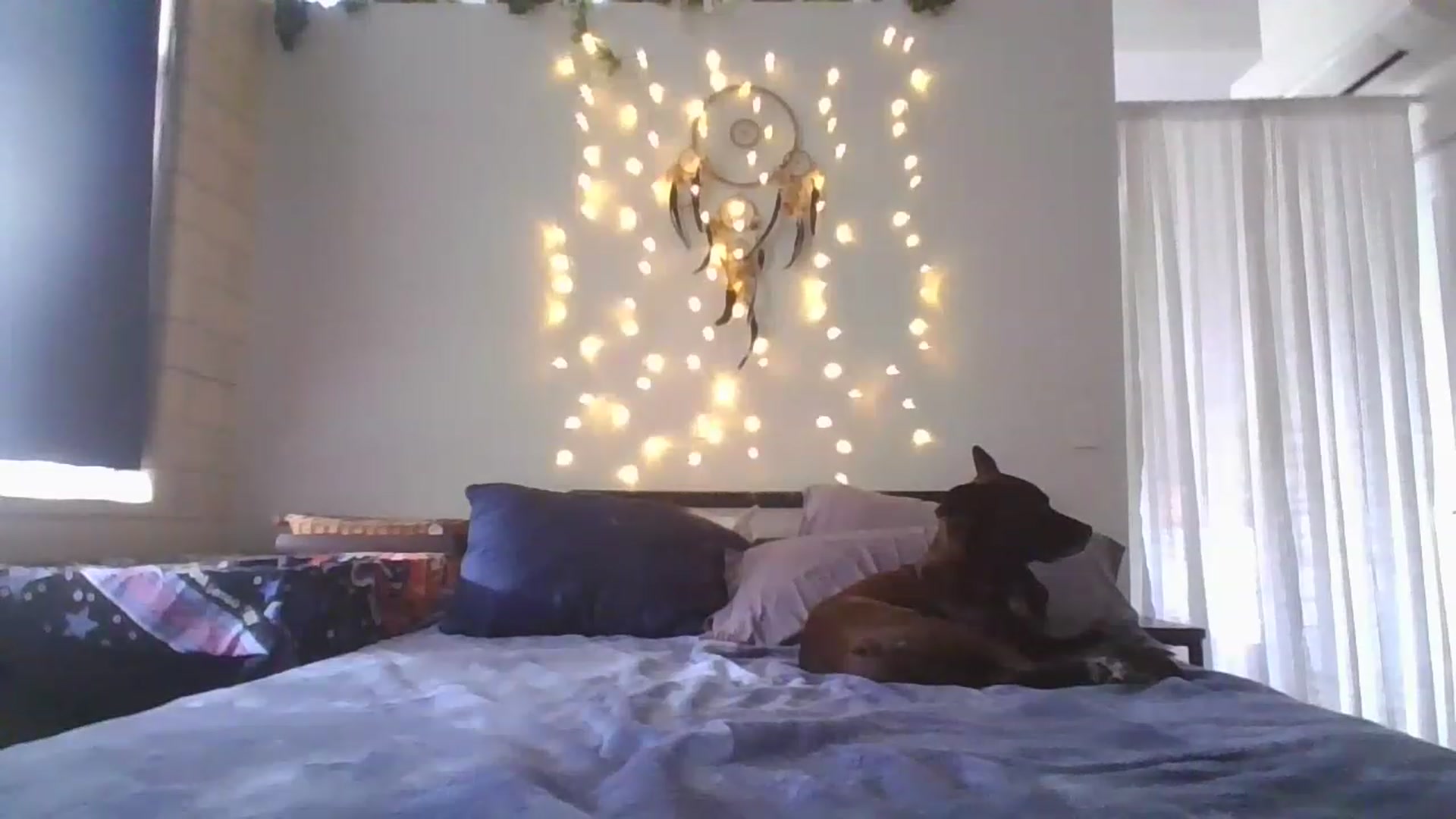 Gallery image thumbnail from DjDreamKitten's myfreecams stream on, 05/04/2023, 16:26 image 20 of 20