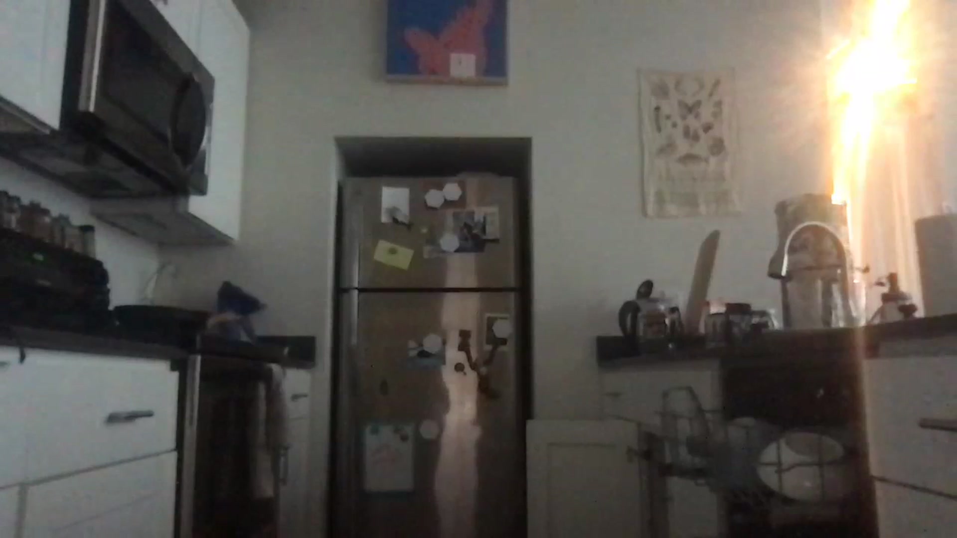 Gallery image thumbnail from DjDreamKitten's myfreecams stream on, 09/20/2023, 16:57 image 4 of 20