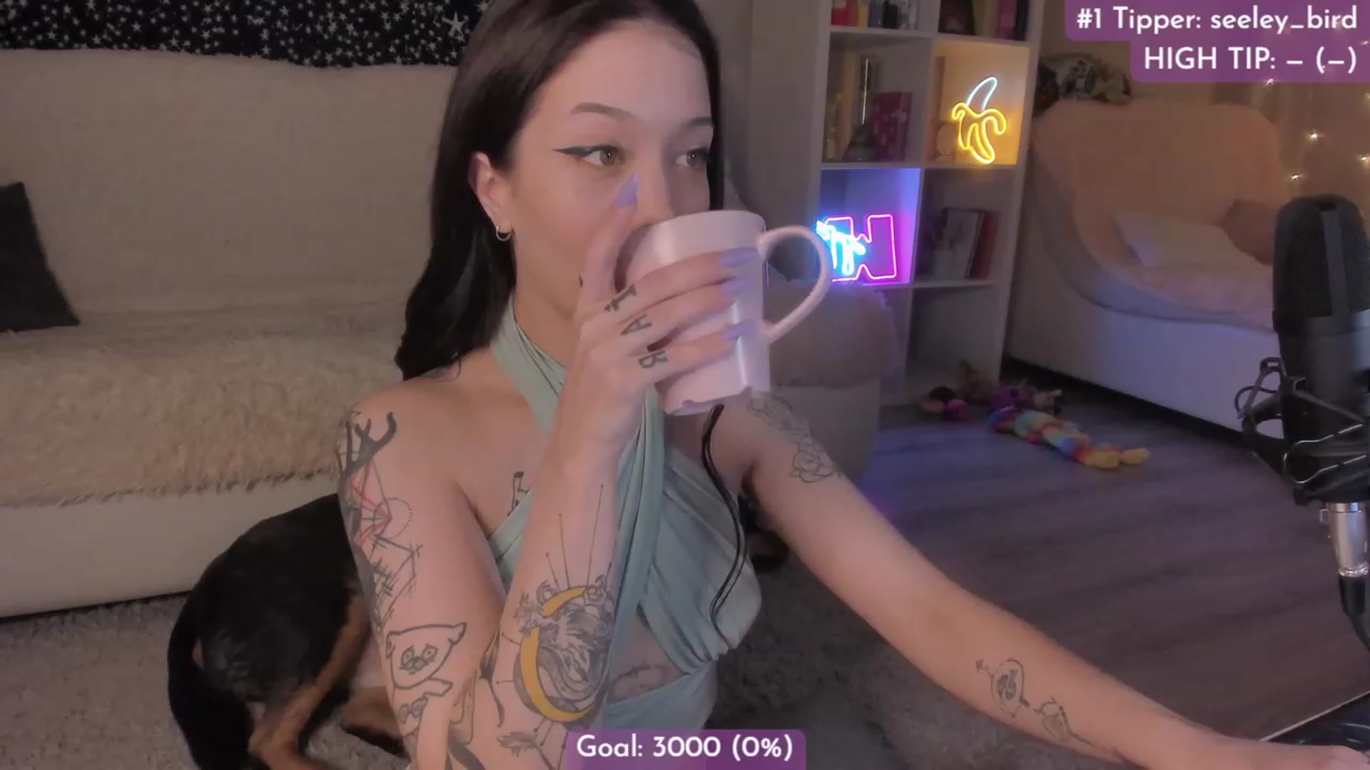Gallery image thumbnail from Dj_Lilu's myfreecams stream on, 12/10/2022, 20:05 image 6 of 20