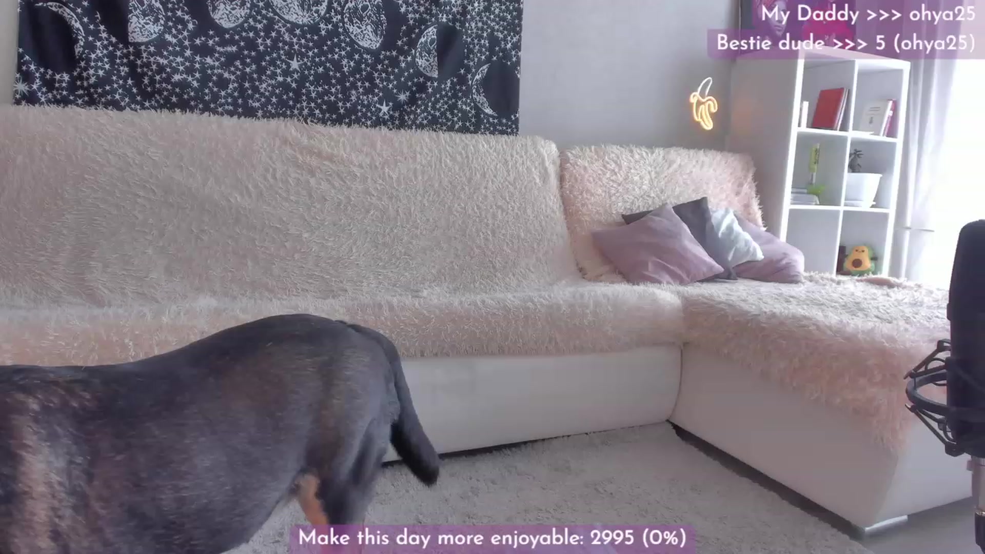 Gallery image thumbnail from Dj_Lilu's myfreecams stream on, 04/17/2023, 07:22 image 8 of 20