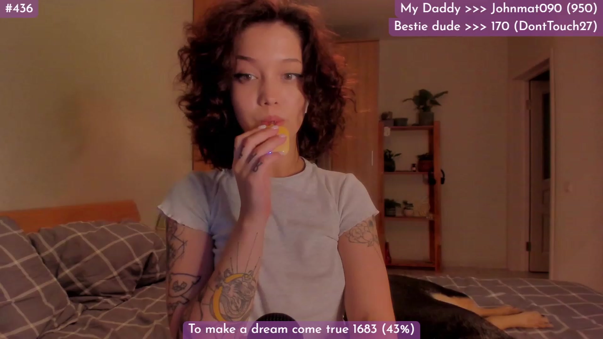 Gallery image thumbnail from Dj_Lilu's myfreecams stream on, 09/04/2023, 18:00 image 8 of 20