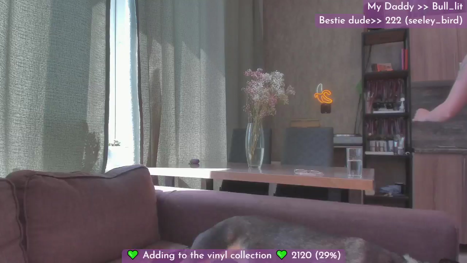 Gallery image thumbnail from Dj_Lilu's myfreecams stream on, 06/01/2024, 06:03 image 11 of 20