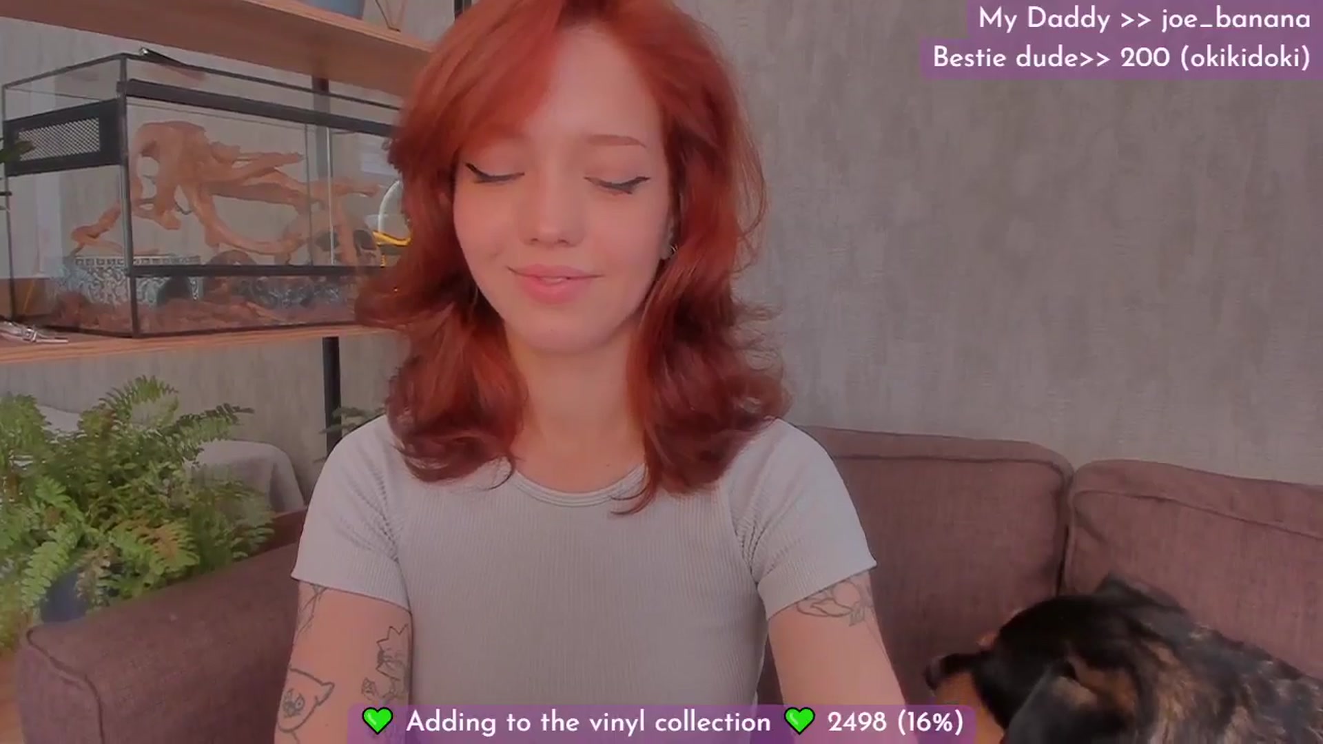 Gallery image thumbnail from Dj_Lilu's myfreecams stream on, 08/23/2024, 06:21 image 11 of 20