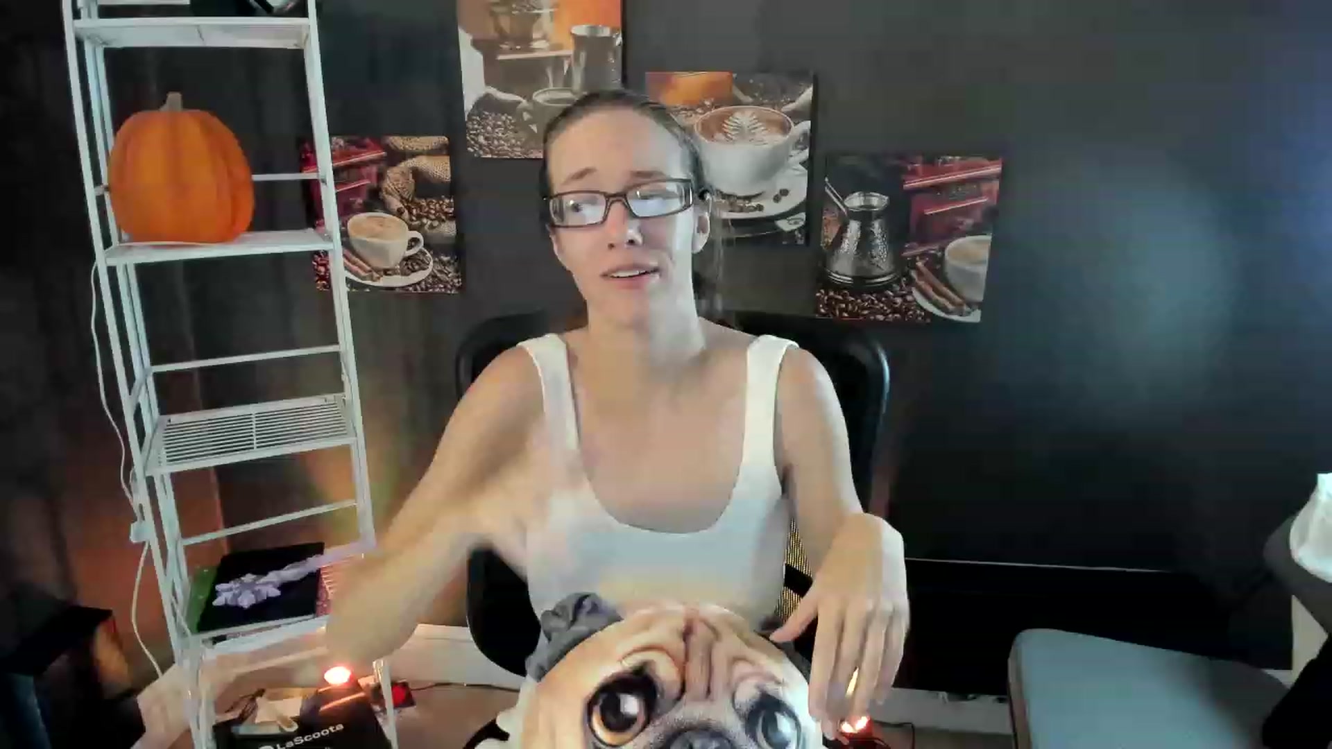 Gallery image thumbnail from DocDropBear's myfreecams stream on, 12/01/2022, 16:52 image 14 of 20