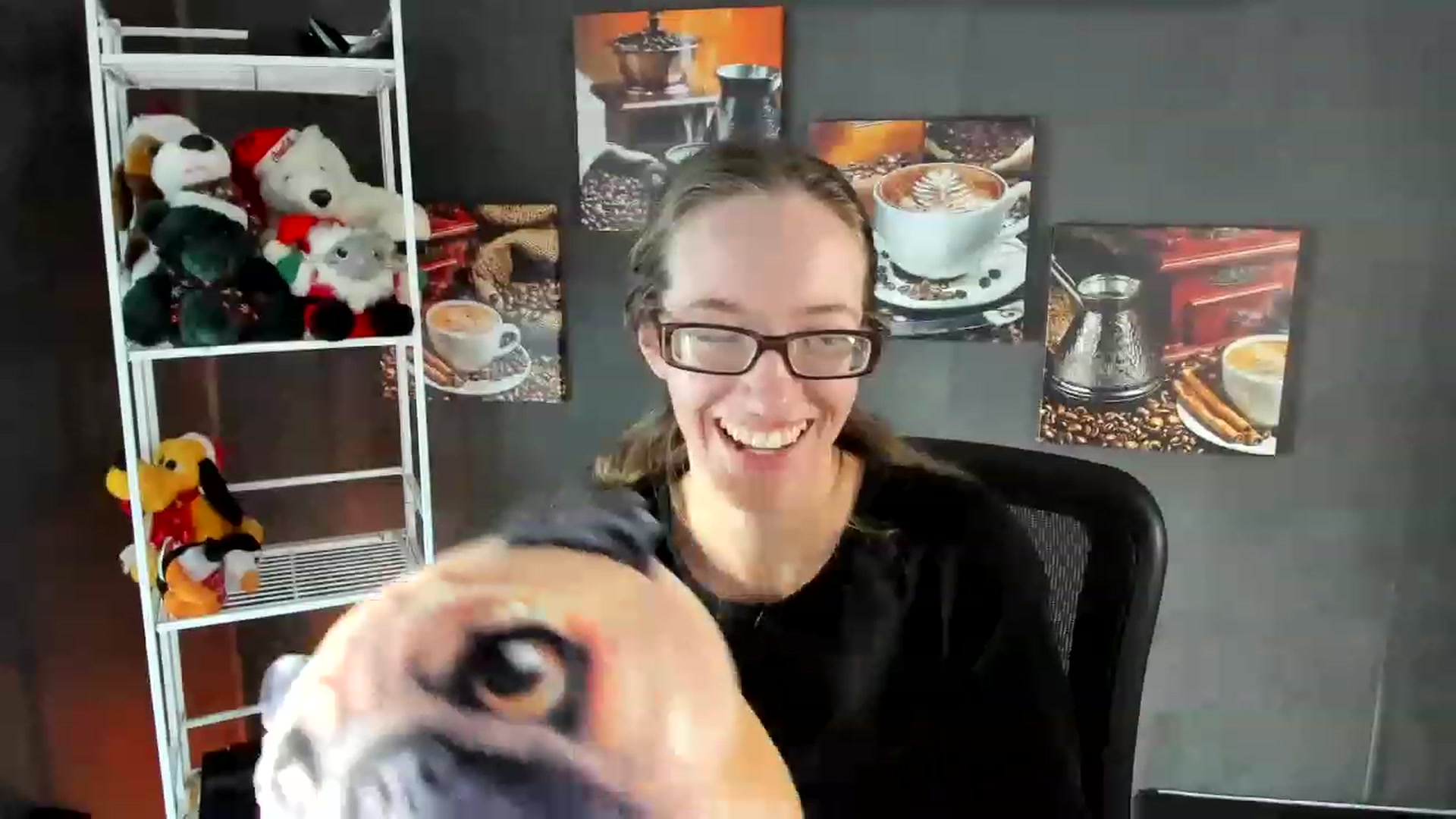 Gallery image thumbnail from DocDropBear's myfreecams stream on, 01/09/2023, 18:49 image 14 of 20