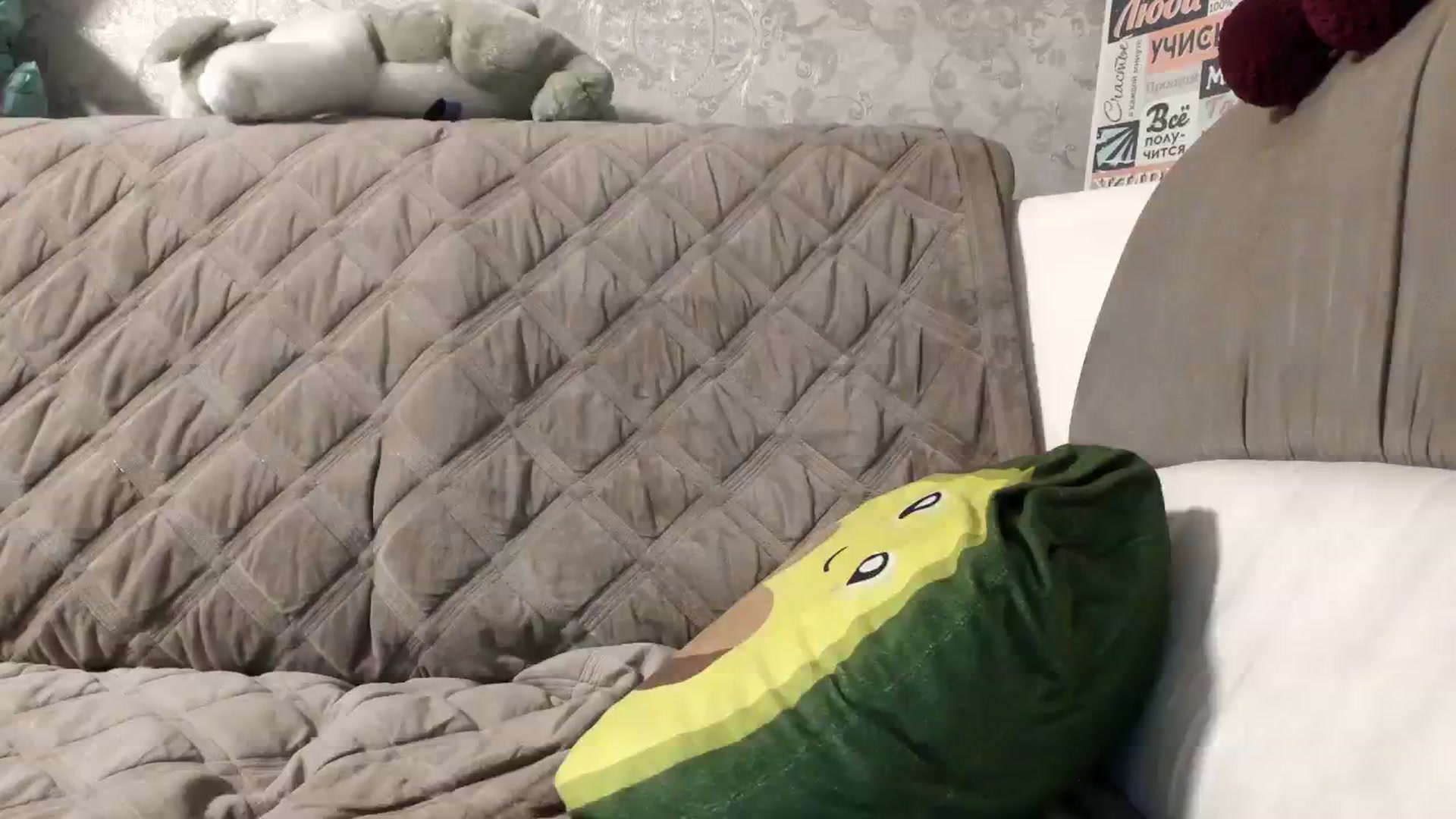 Gallery image thumbnail from Doctor_Love_V's myfreecams stream on, 03/08/2024, 20:45 image 10 of 20