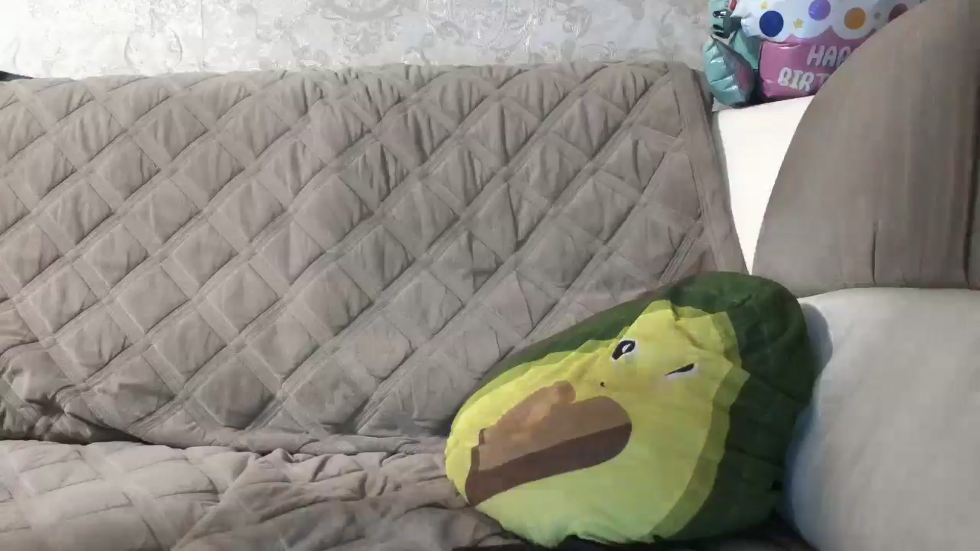 Gallery image thumbnail from Doctor_Love_V's myfreecams stream on, 05/16/2024, 19:58 image 7 of 20