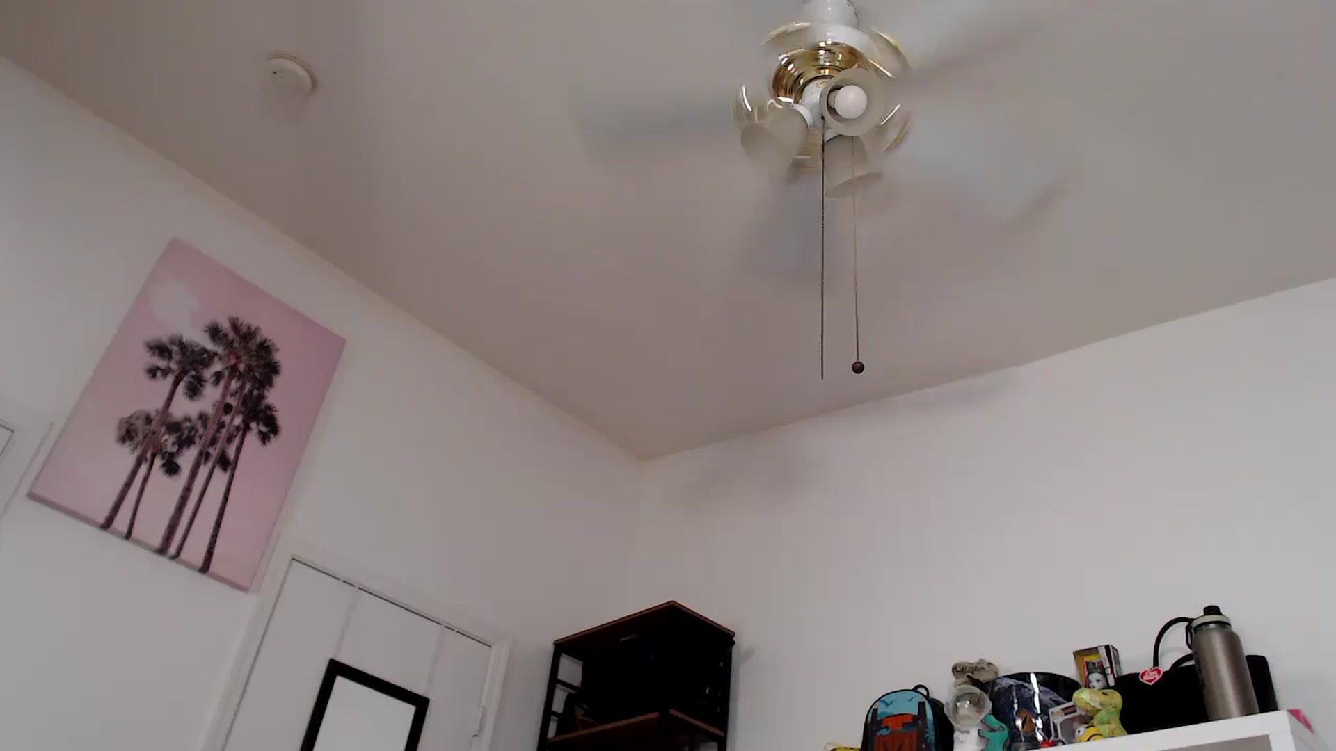 Gallery image thumbnail from Dollfacedangr's myfreecams stream on, 08/25/2023, 24:05 image 17 of 20