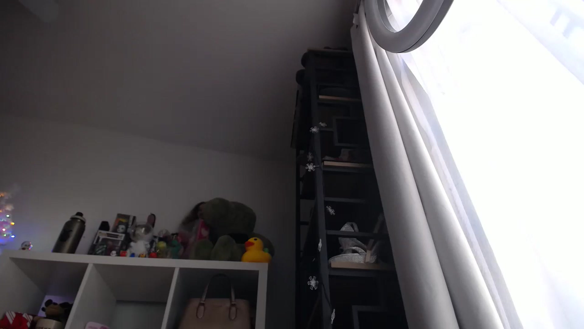 Gallery image thumbnail from Dollfacedangr's myfreecams stream on, 12/20/2023, 18:51 image 14 of 20