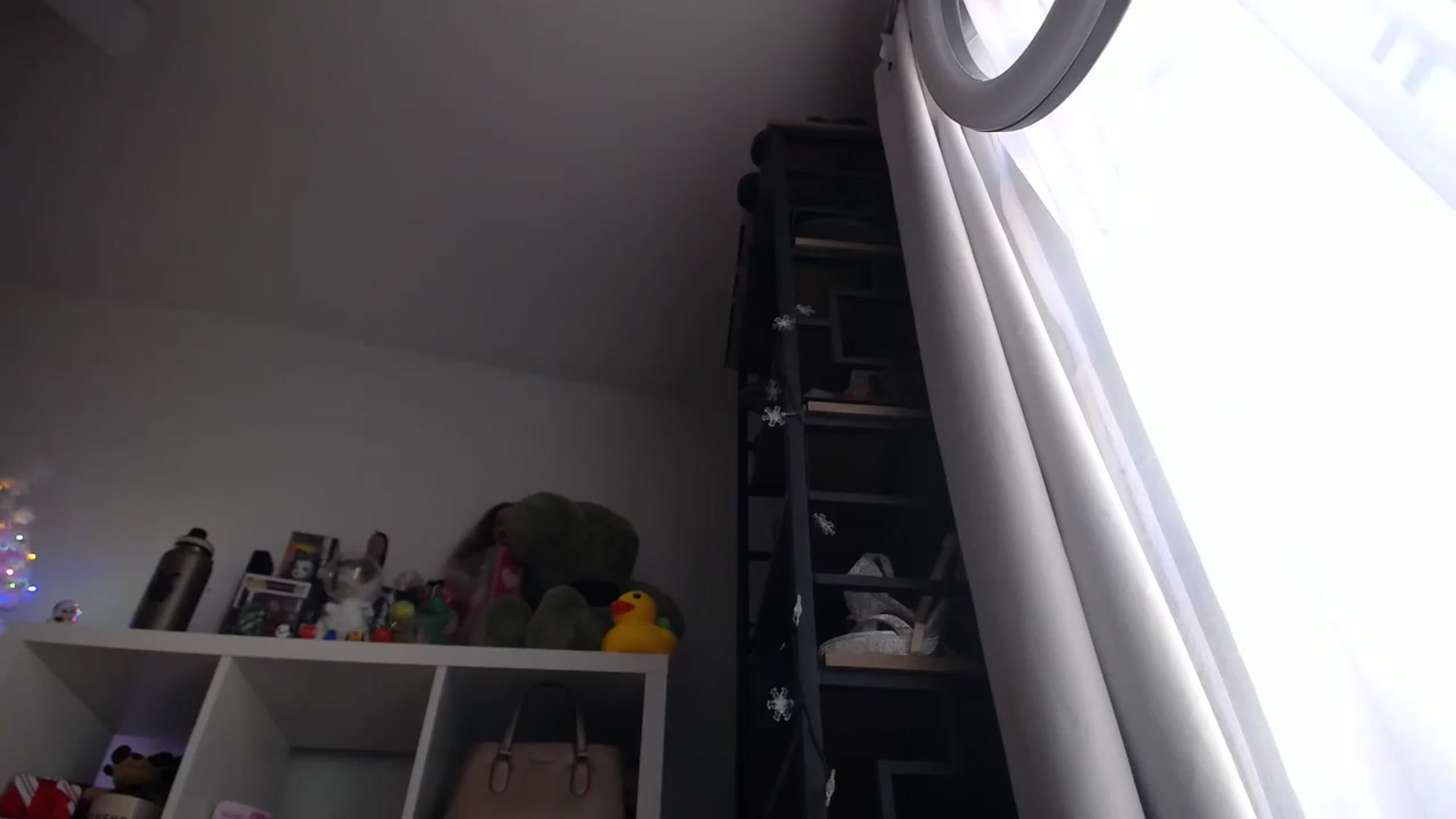Gallery image thumbnail from Dollfacedangr's myfreecams stream on, 12/20/2023, 18:51 image 13 of 20