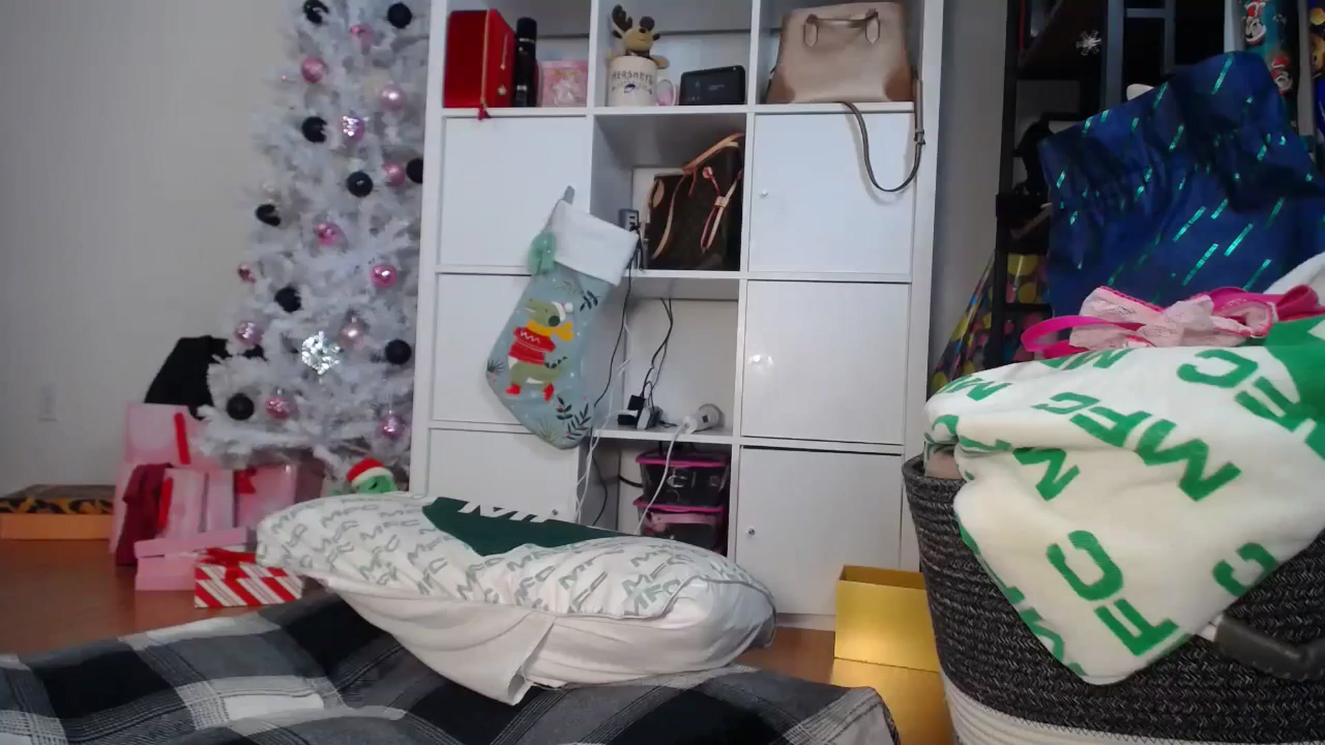Gallery image thumbnail from Dollfacedangr's myfreecams stream on, 12/29/2023, 07:20 image 11 of 20
