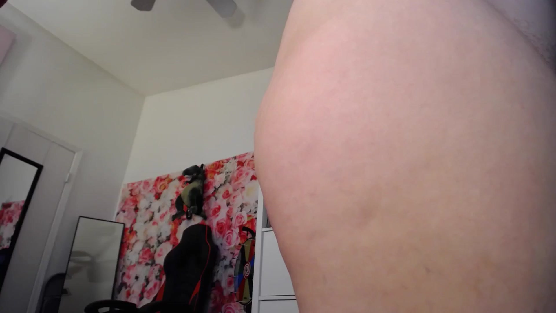 Gallery image thumbnail from Dollfacedangr's myfreecams stream on, 06/04/2024, 05:27 image 9 of 20