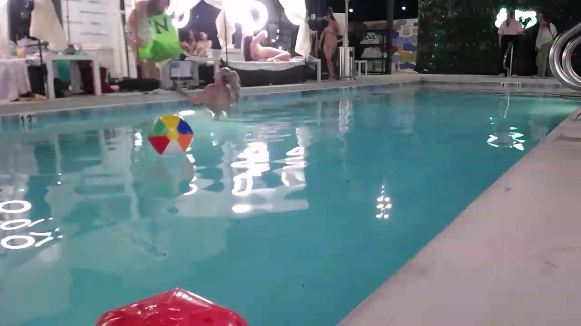 Gallery image thumbnail from Dollfacedangr's myfreecams stream on, 05/20/2026, 06:01 image 4 of 20