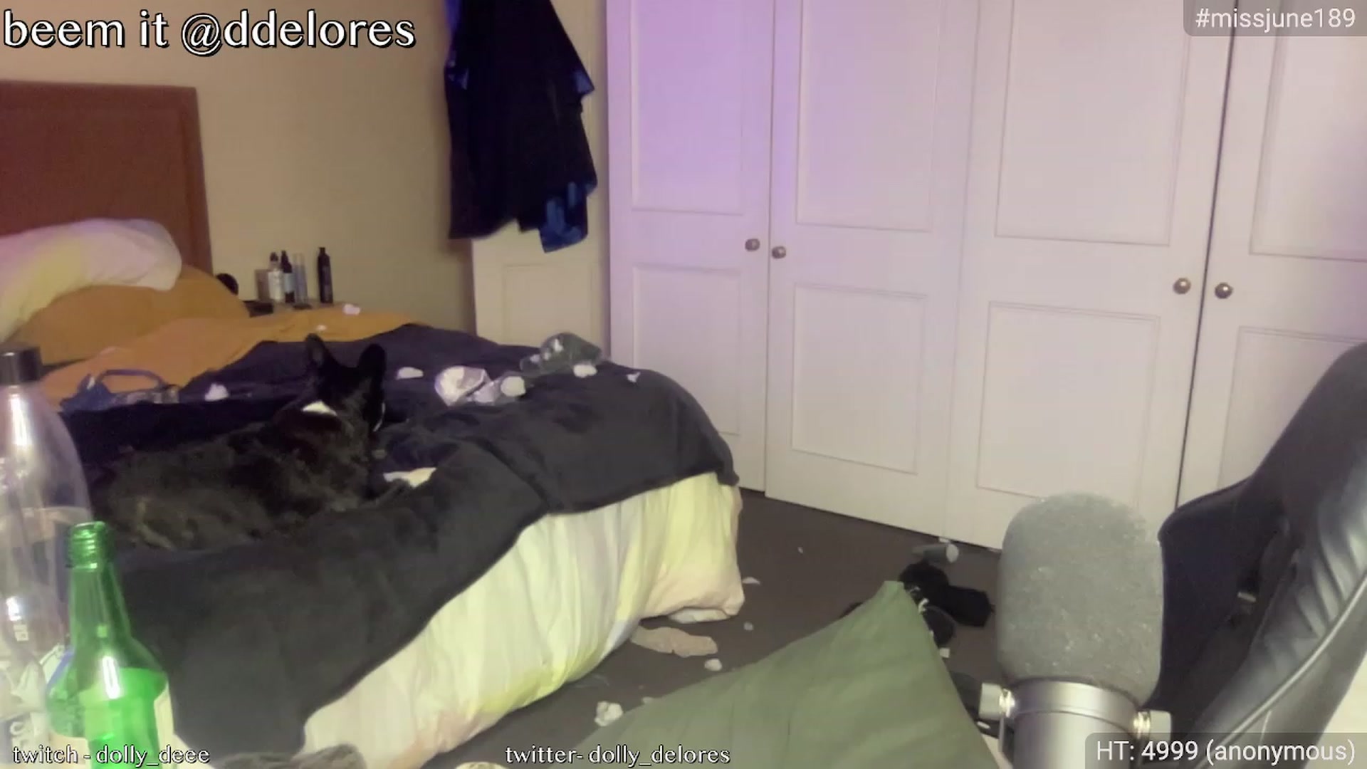 Gallery image thumbnail from DollyDelores's myfreecams stream on, 06/04/2023, 12:57 image 16 of 20
