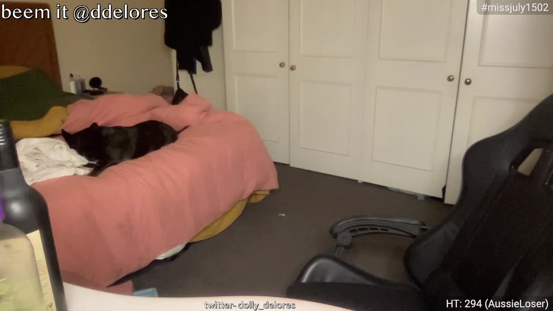 Gallery image thumbnail from DollyDelores's myfreecams stream on, 07/03/2023, 10:48 image 11 of 20