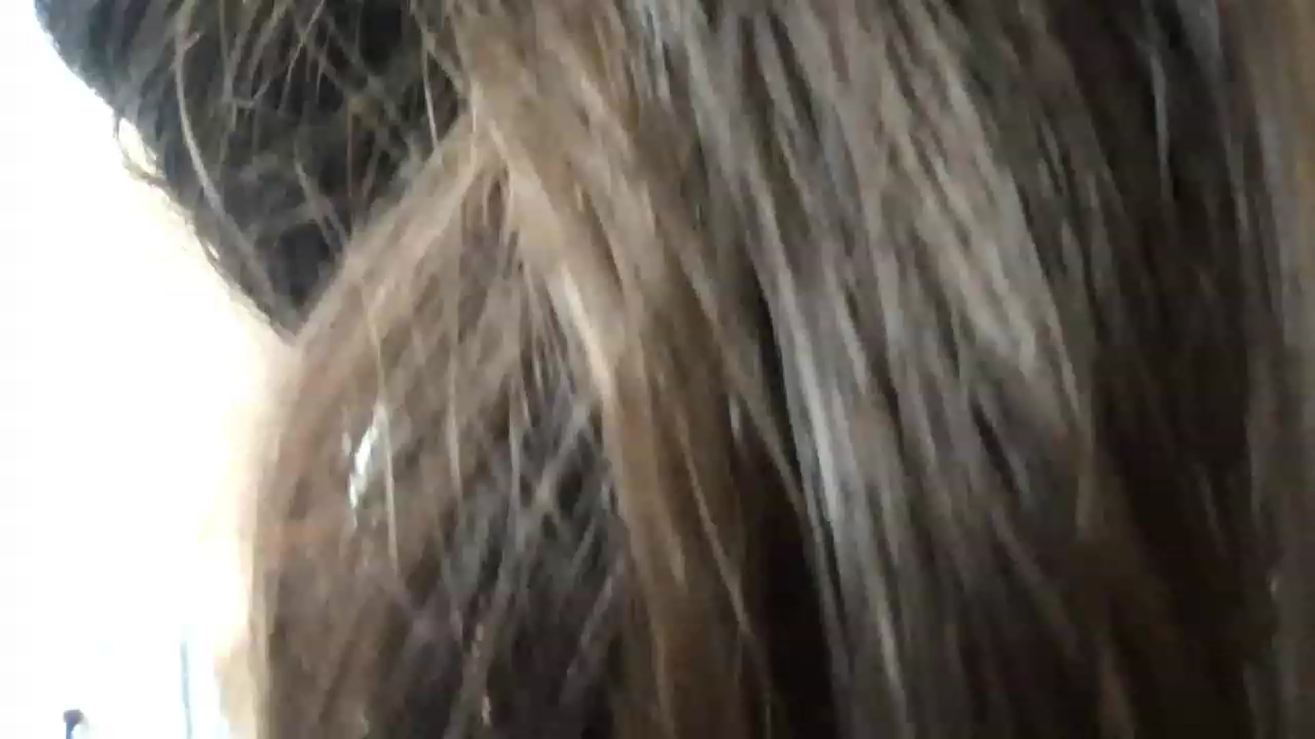 Gallery image thumbnail from DominatrixV's myfreecams stream on, 12/24/2022, 18:16 image 7 of 20