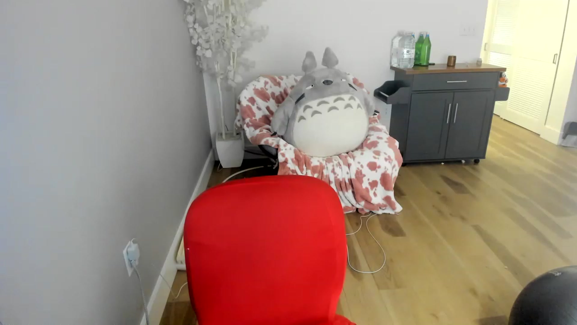 Gallery image thumbnail from DommeMilk's myfreecams stream on, 12/12/2022, 08:59 image 17 of 20