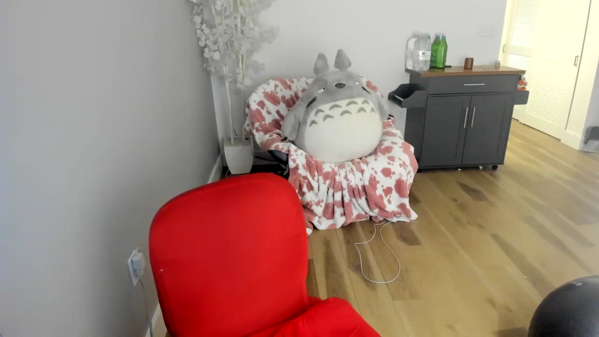 Gallery image thumbnail from DommeMilk's myfreecams stream on, 12/12/2022, 08:59 image 2 of 20