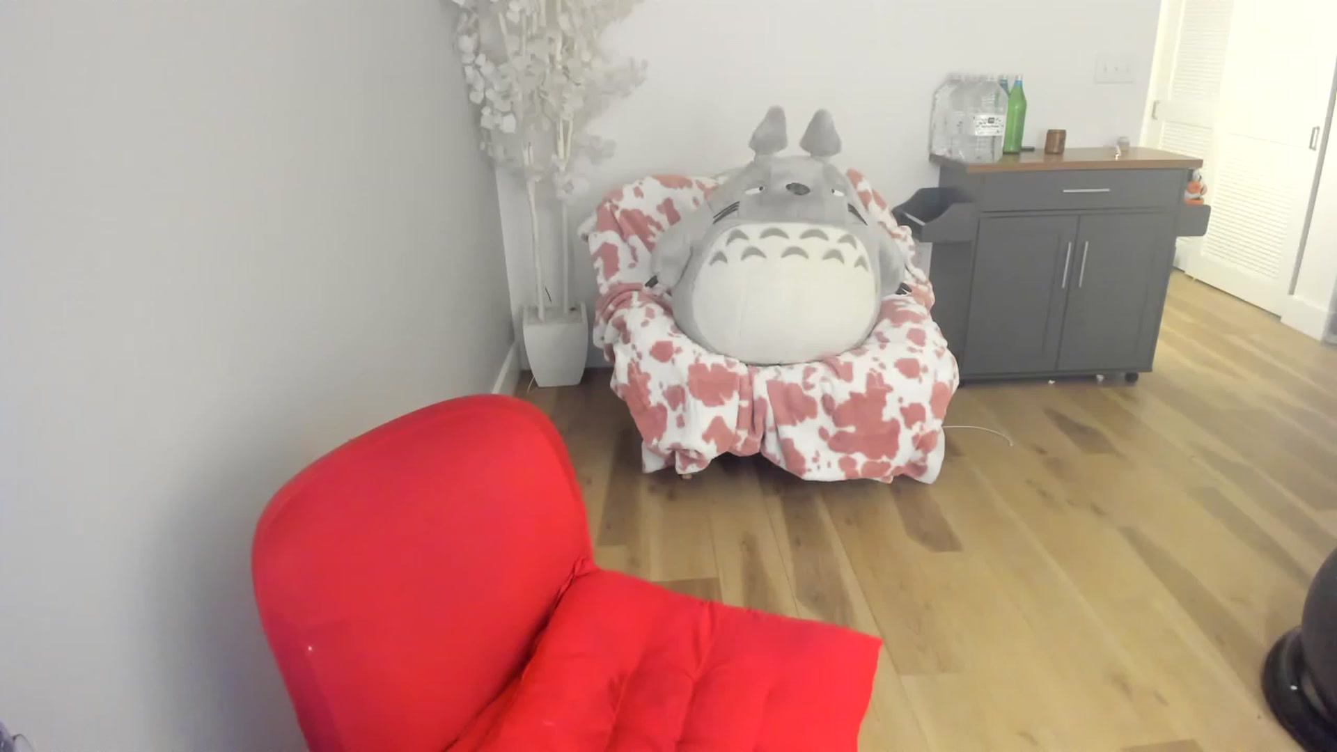 Gallery image thumbnail from DommeMilk's myfreecams stream on, 12/16/2022, 03:52 image 4 of 20