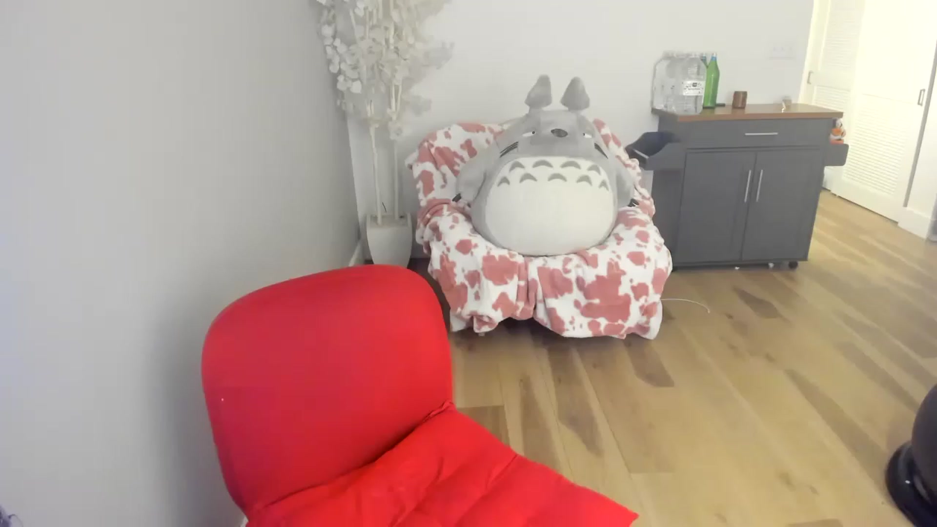Gallery image thumbnail from DommeMilk's myfreecams stream on, 12/16/2022, 05:40 image 12 of 20