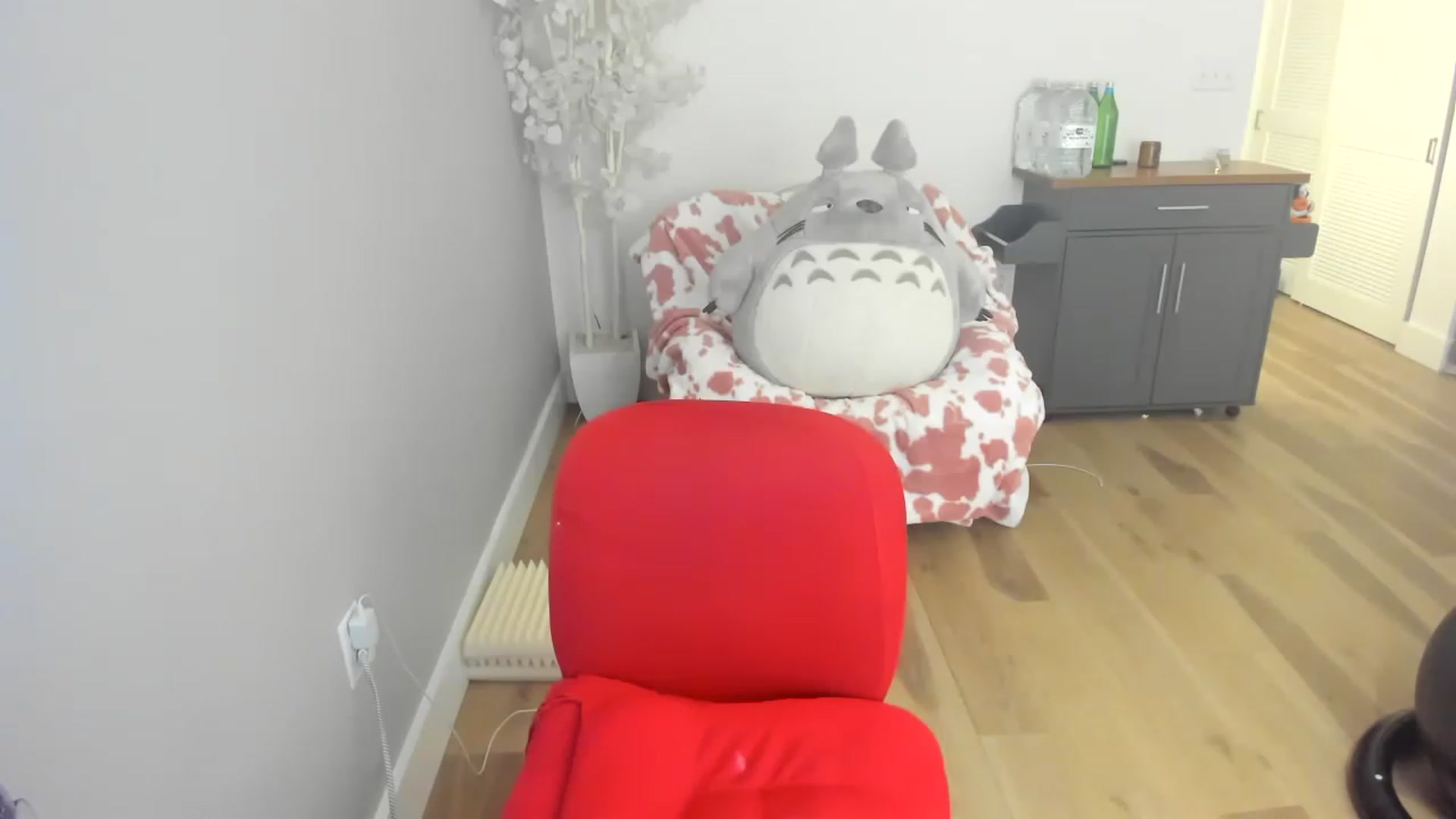 Gallery image thumbnail from DommeMilk's myfreecams stream on, 12/16/2022, 15:05 image 13 of 20