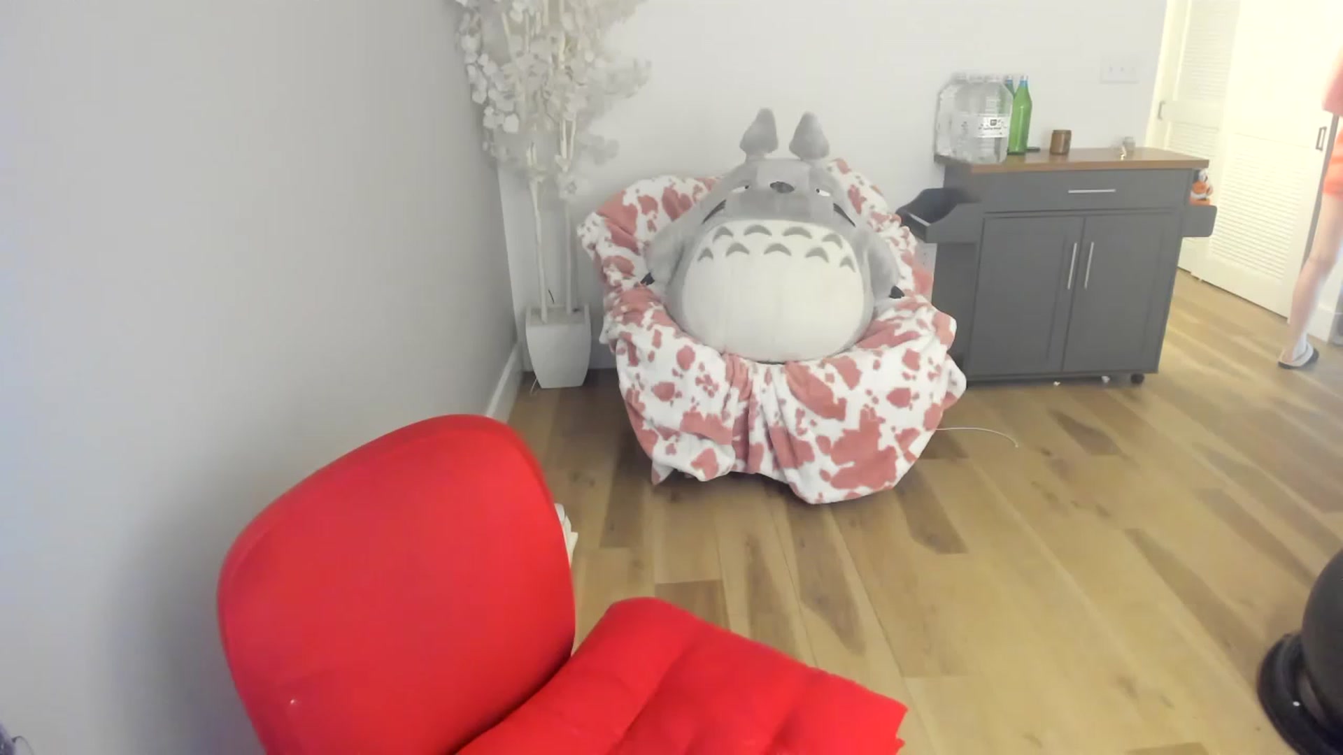 Gallery image thumbnail from DommeMilk's myfreecams stream on, 12/17/2022, 04:37 image 5 of 20