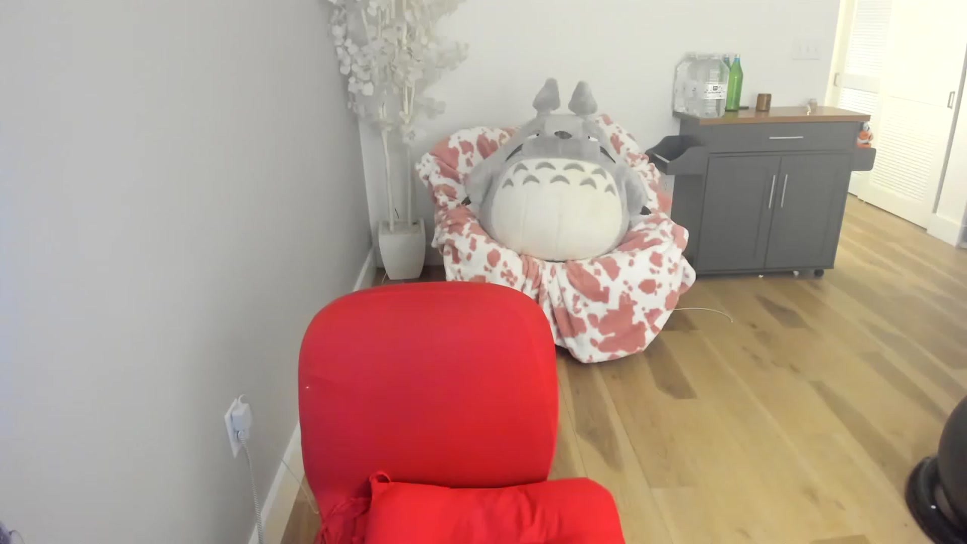 Gallery image thumbnail from DommeMilk's myfreecams stream on, 12/17/2022, 06:42 image 7 of 20