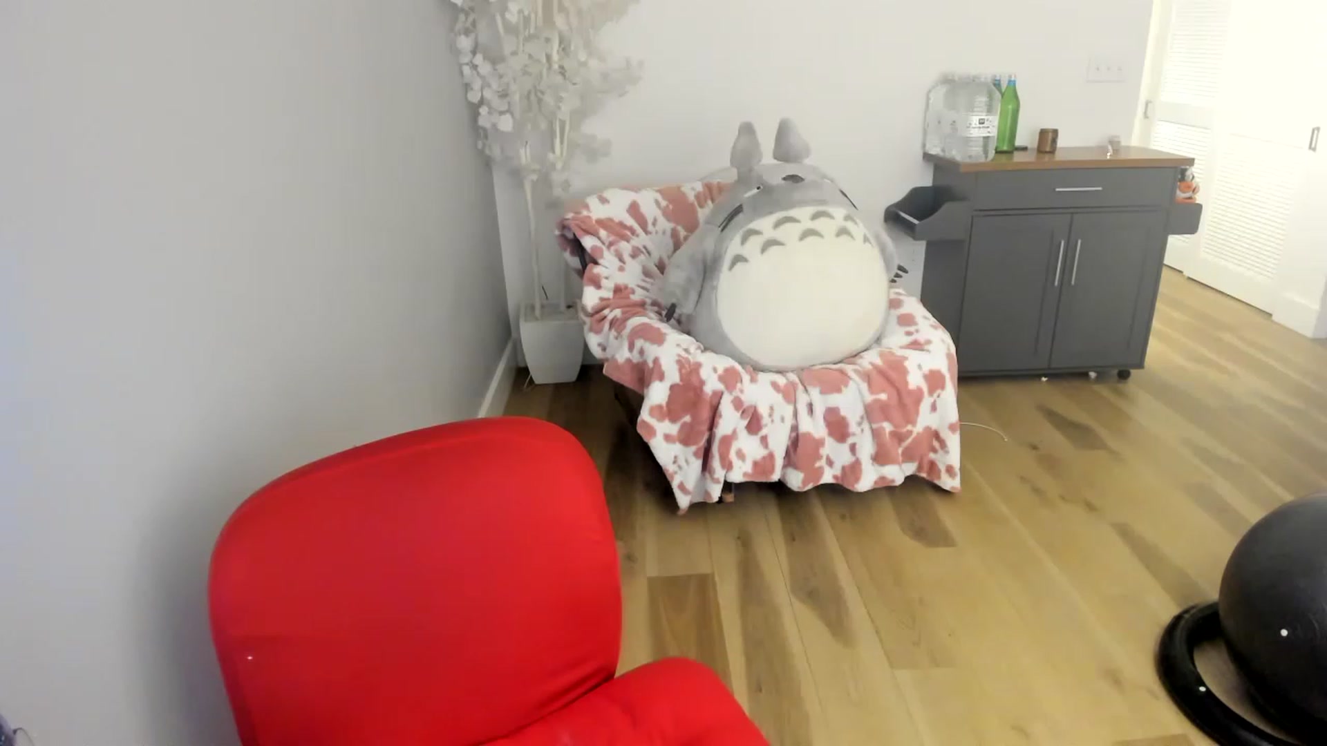 Gallery image thumbnail from DommeMilk's myfreecams stream on, 12/18/2022, 07:11 image 12 of 20