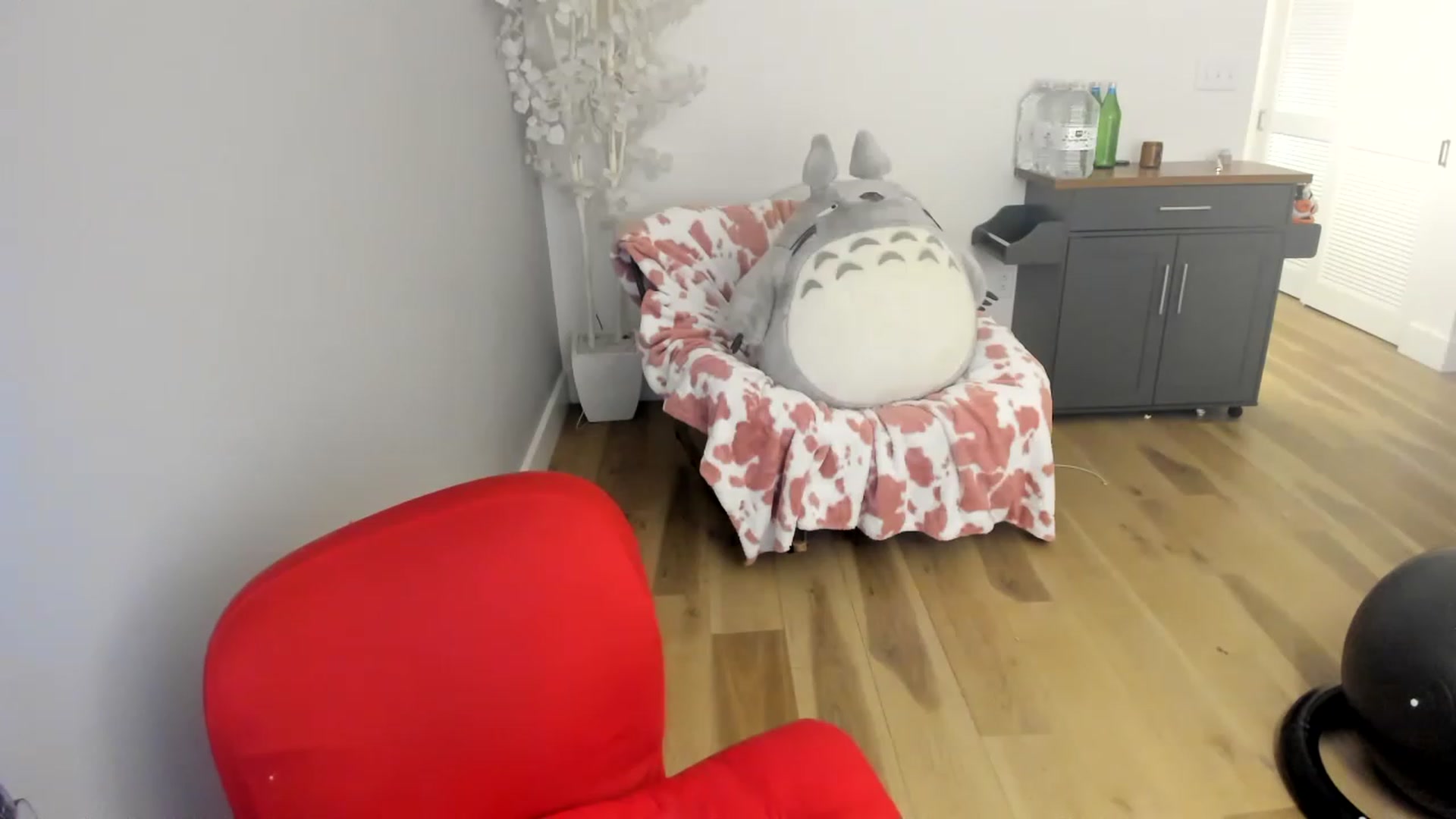 Gallery image thumbnail from DommeMilk's myfreecams stream on, 12/18/2022, 11:43 image 18 of 20
