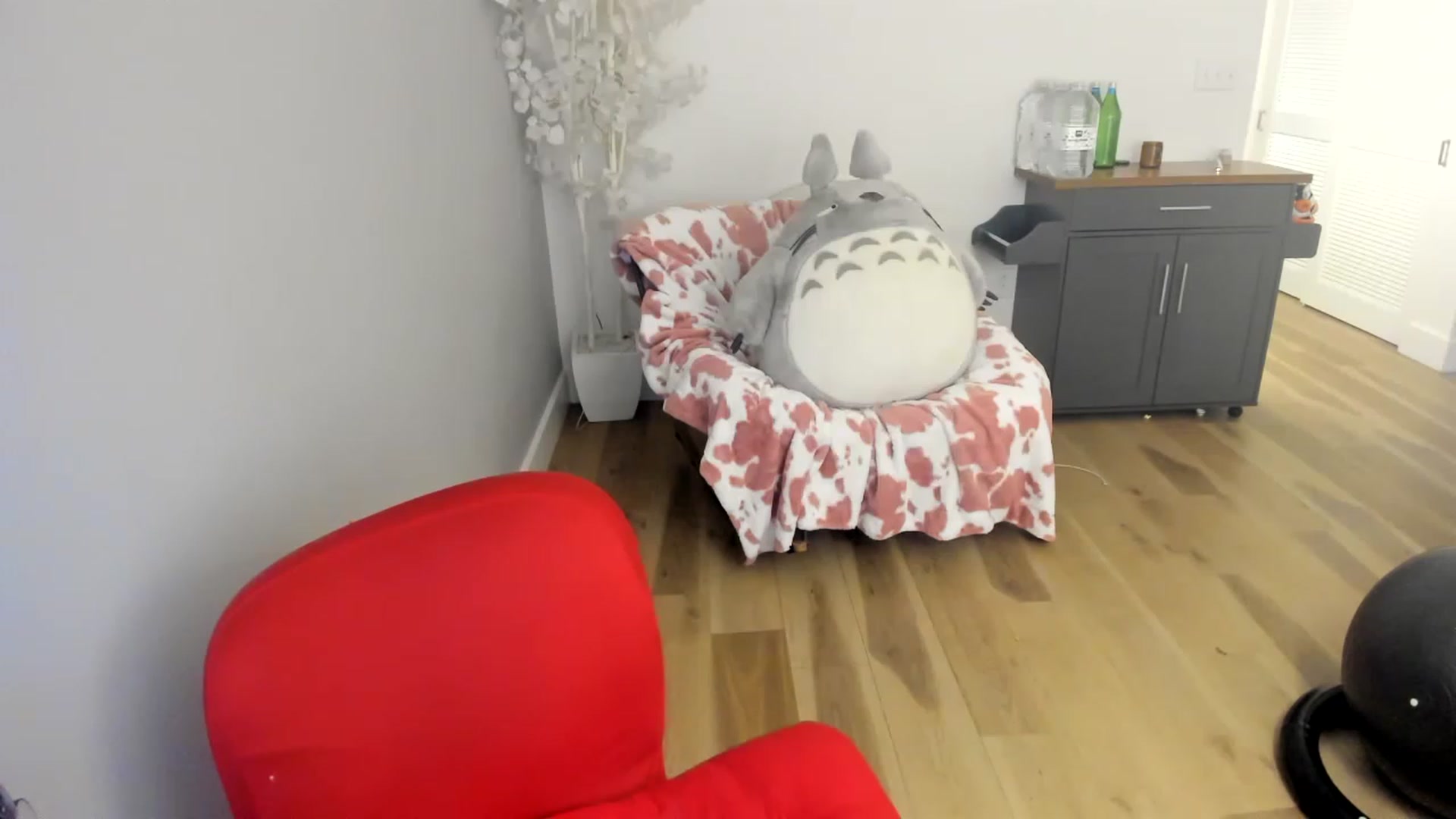 Gallery image thumbnail from DommeMilk's myfreecams stream on, 12/18/2022, 11:43 image 17 of 20