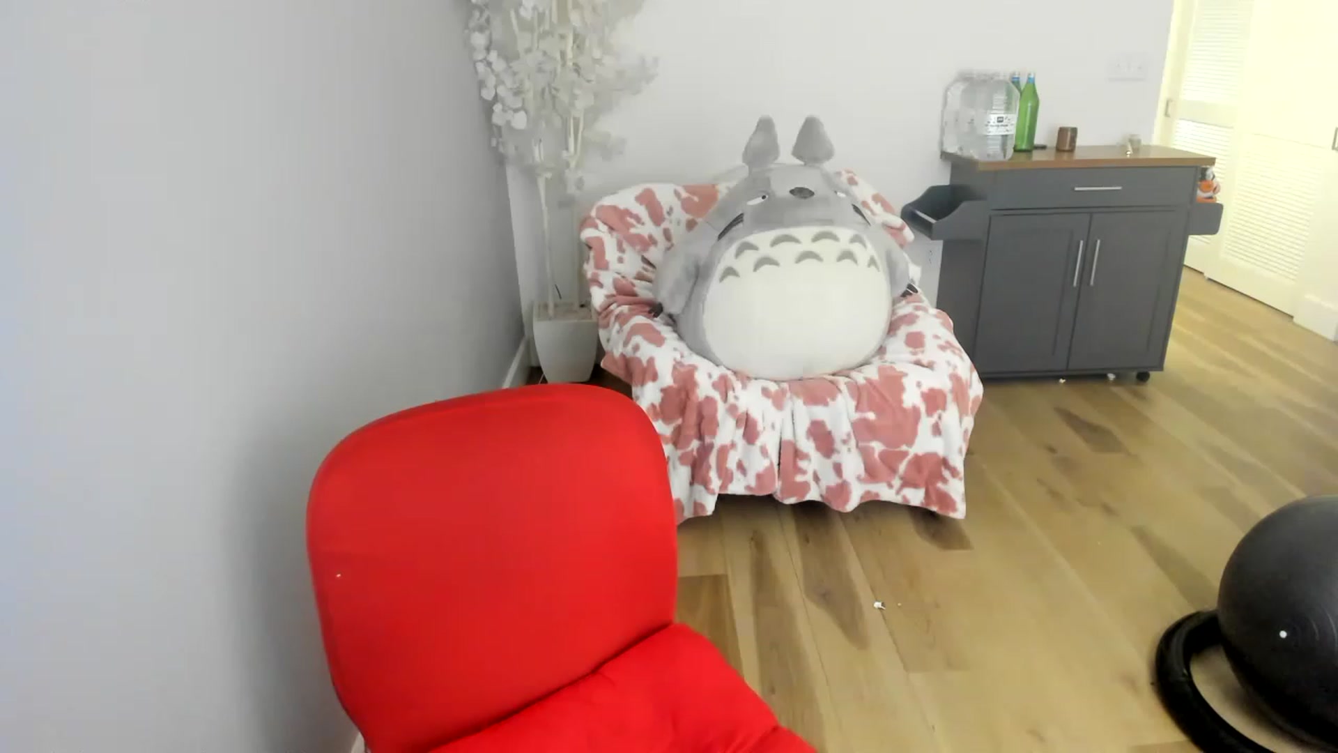 Gallery image thumbnail from DommeMilk's myfreecams stream on, 12/19/2022, 10:54 image 19 of 20
