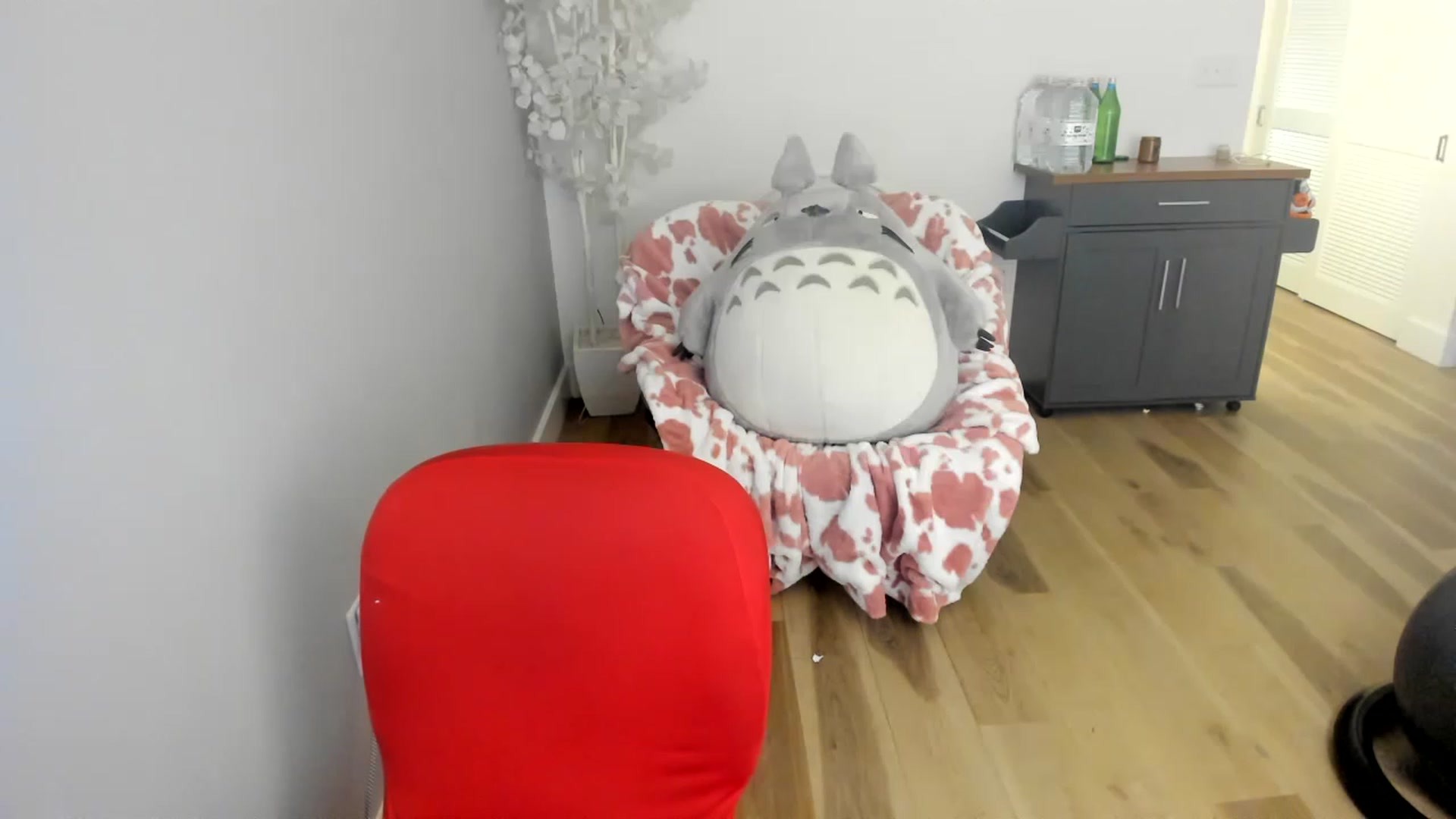 Gallery image thumbnail from DommeMilk's myfreecams stream on, 12/21/2022, 07:54 image 8 of 20