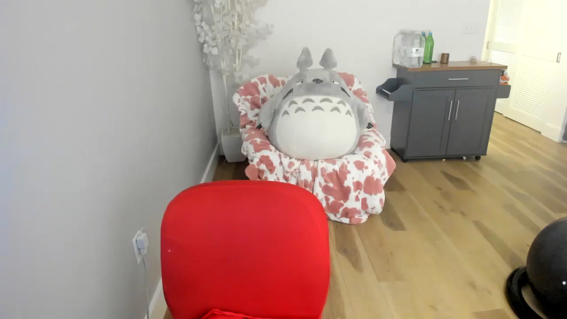 Gallery image thumbnail from DommeMilk's myfreecams stream on, 12/23/2022, 08:40 image 7 of 20