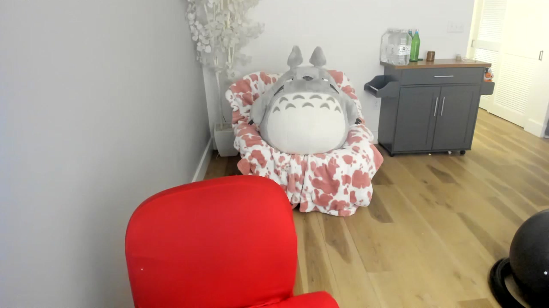 Gallery image thumbnail from DommeMilk's myfreecams stream on, 12/23/2022, 08:40 image 6 of 20