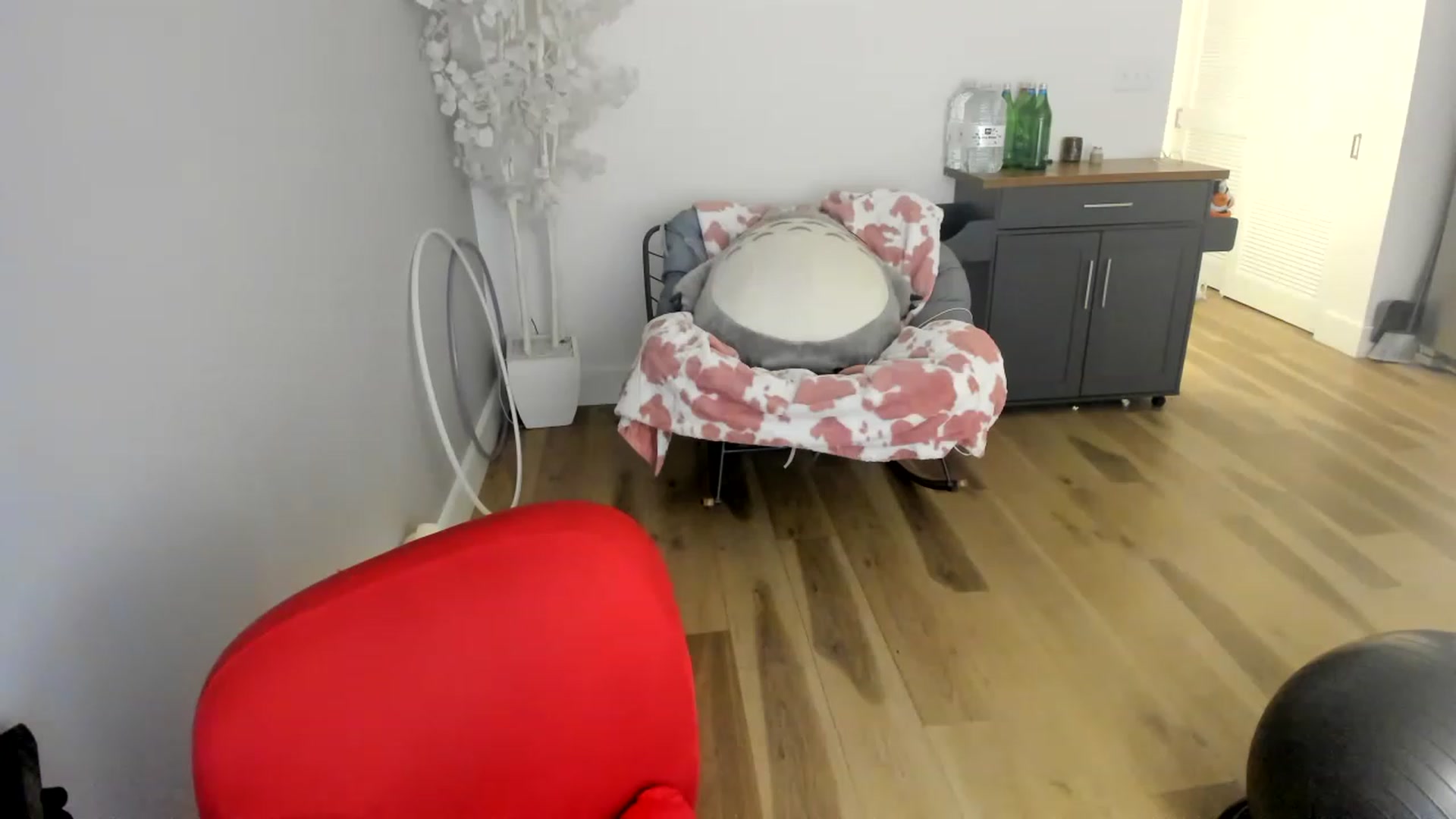 Gallery image thumbnail from Domme_Milk's myfreecams stream on, 12/01/2022, 13:08 image 20 of 20