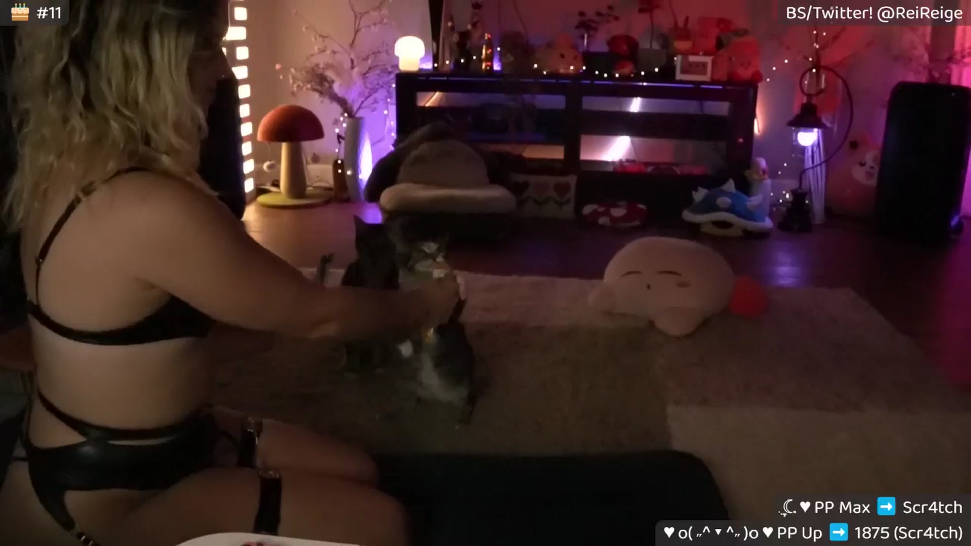 Gallery image thumbnail from DommyMami's myfreecams stream on, 11/11/2025, 12:15 image 11 of 20