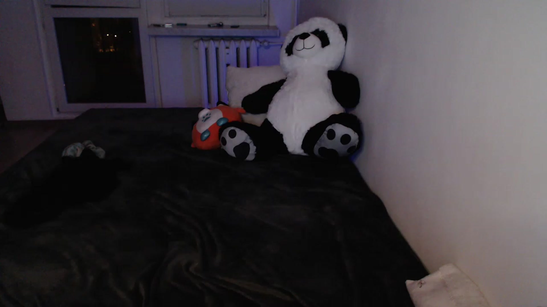 Gallery image thumbnail from DonnaDixxon's myfreecams stream on, 11/16/2022, 07:57 image 6 of 20