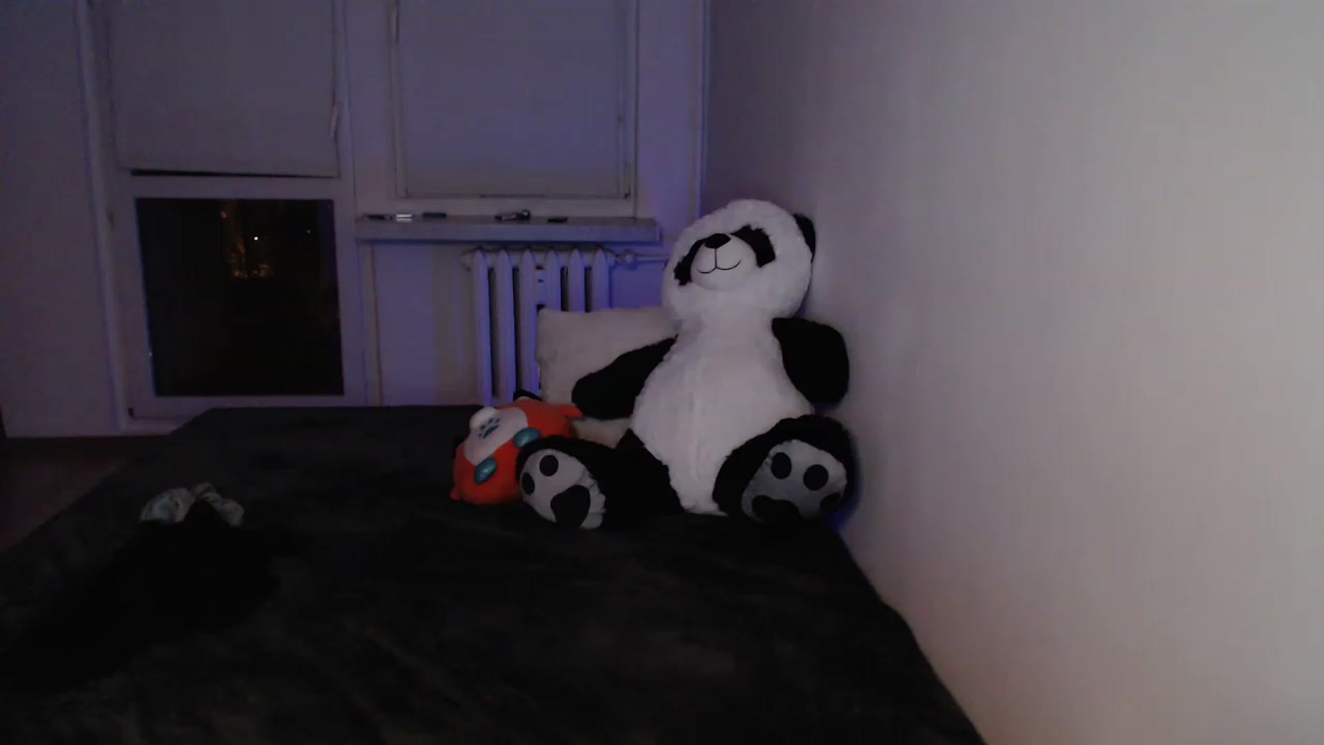 Gallery image thumbnail from DonnaDixxon's myfreecams stream on, 11/16/2022, 07:57 image 15 of 20