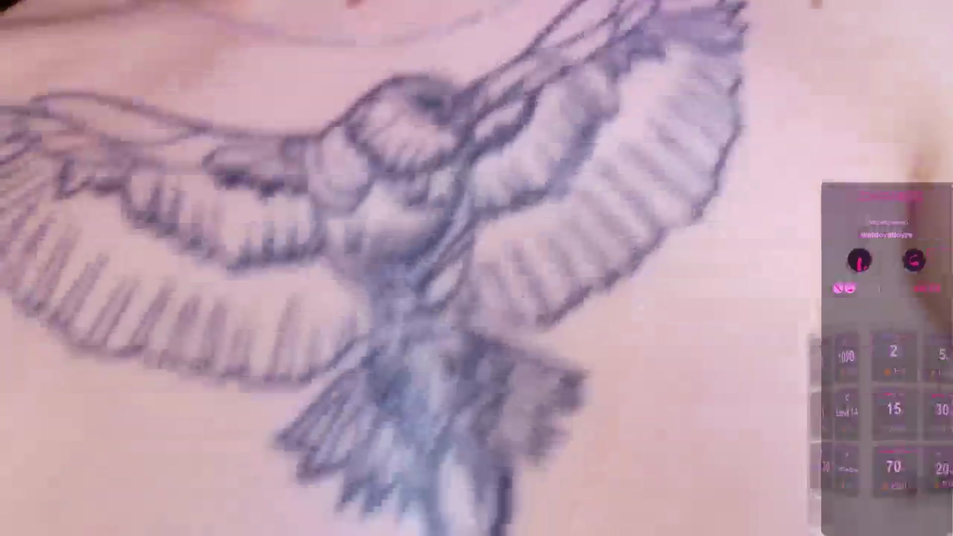 Gallery image thumbnail from Dora_autumn_'s myfreecams stream on, 05/14/2024, 08:07 image 4 of 20