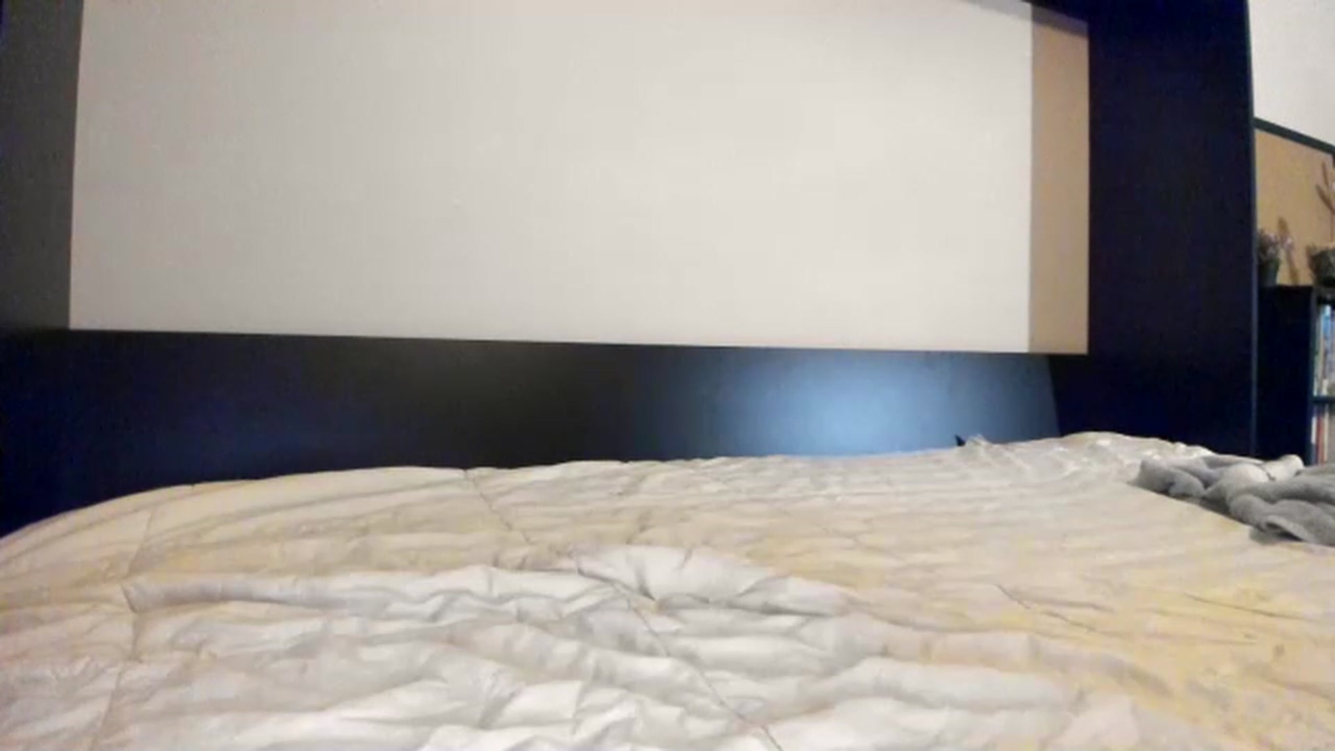 Gallery image thumbnail from Downloads's myfreecams stream on, 11/26/2022, 07:41 image 18 of 20