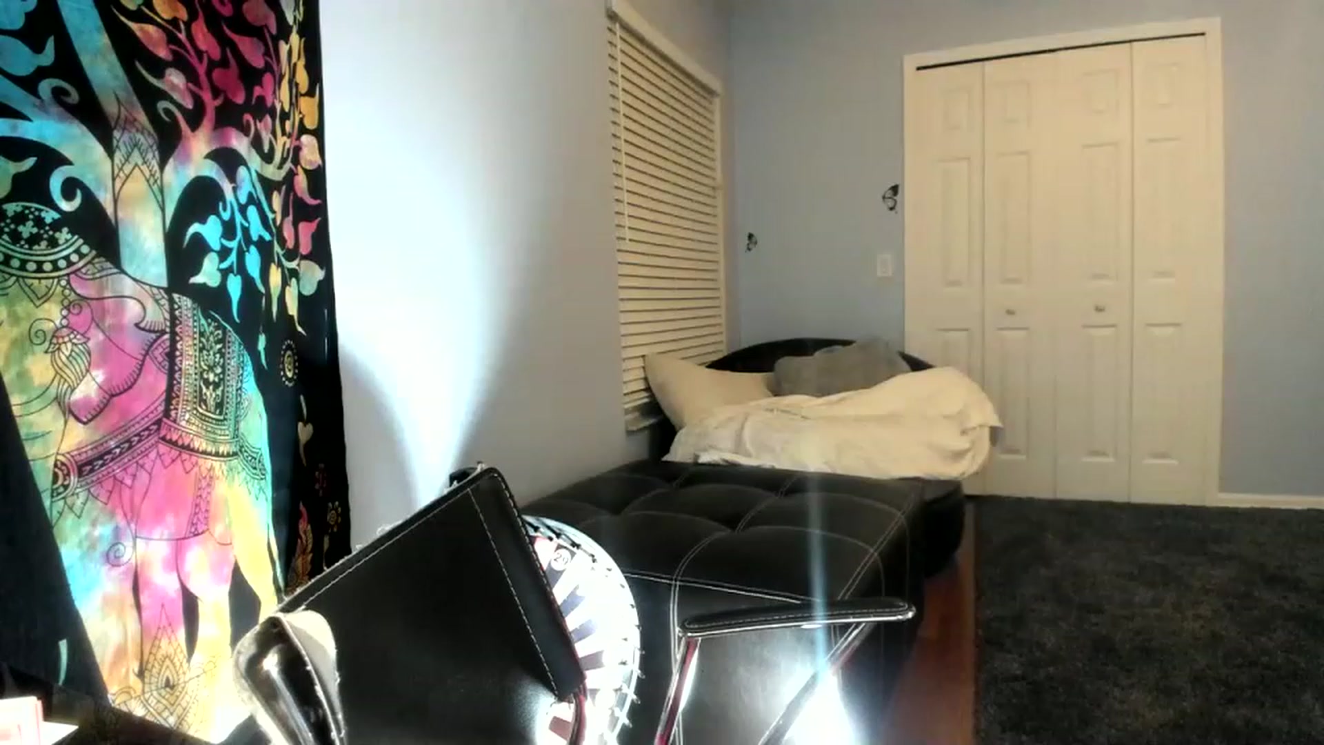 Gallery image thumbnail from Downloads's myfreecams stream on, 06/03/2023, 08:25 image 2 of 20