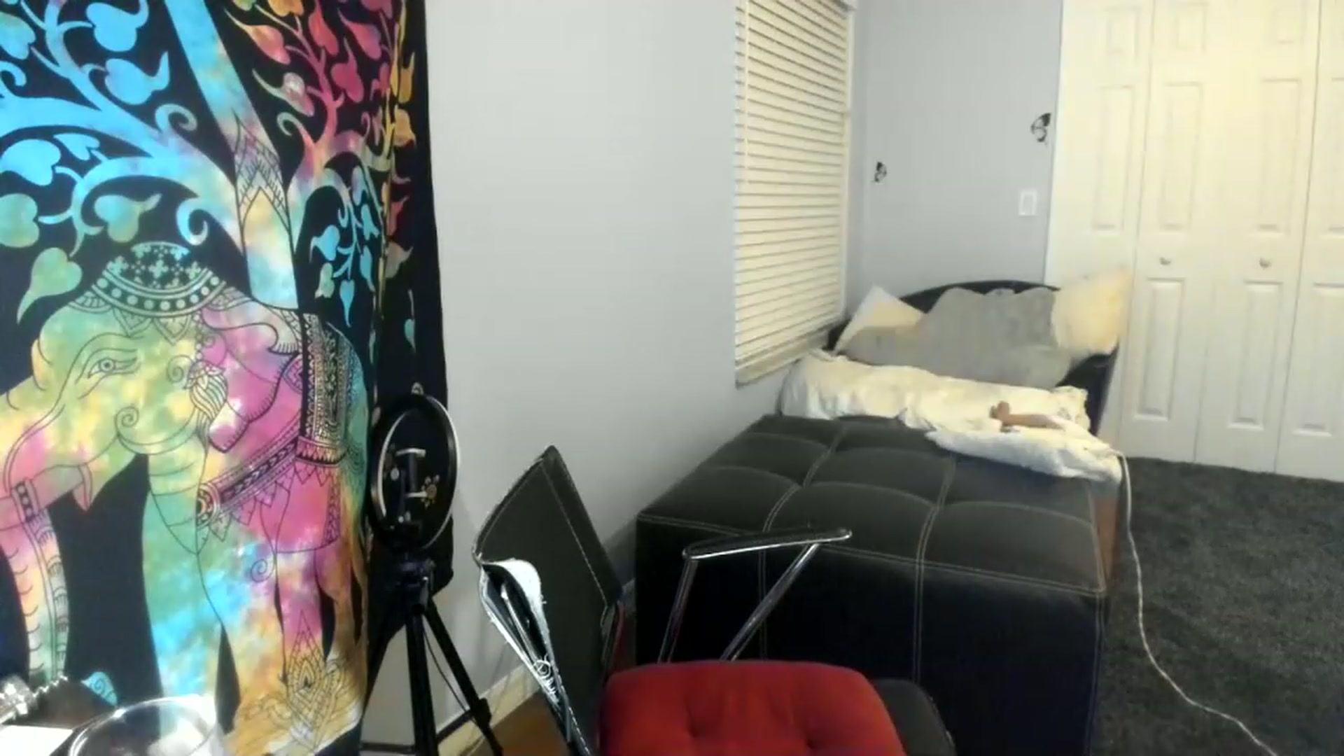 Gallery image thumbnail from Downloads's myfreecams stream on, 06/25/2023, 08:41 image 13 of 20