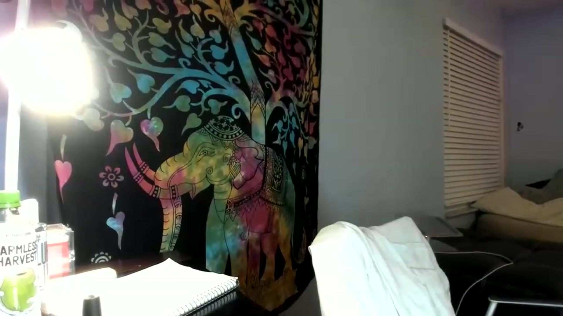 Gallery image thumbnail from Downloads's myfreecams stream on, 07/02/2023, 08:31 image 7 of 20