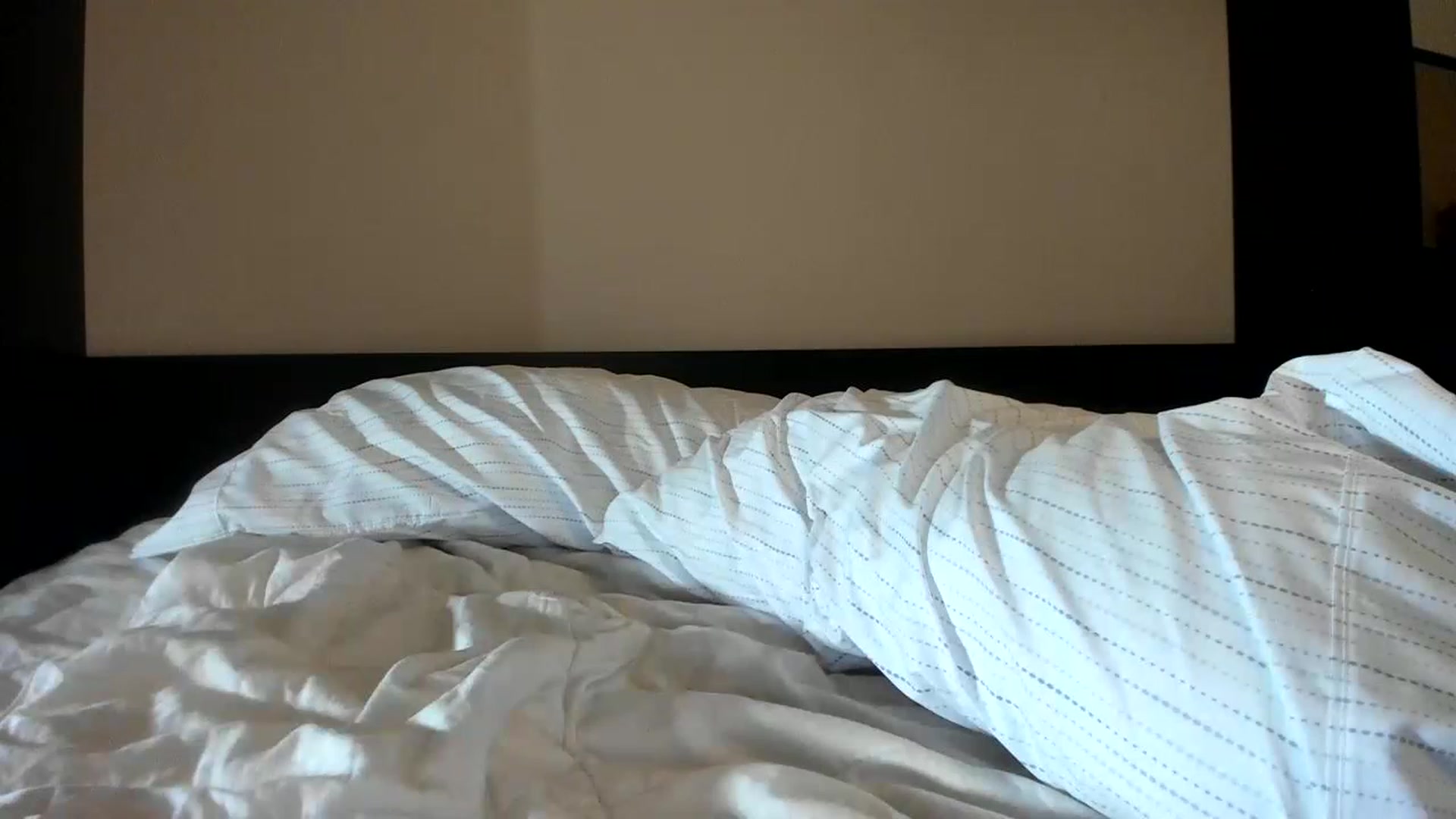 Gallery image thumbnail from Downloads's myfreecams stream on, 07/09/2023, 07:30 image 15 of 20