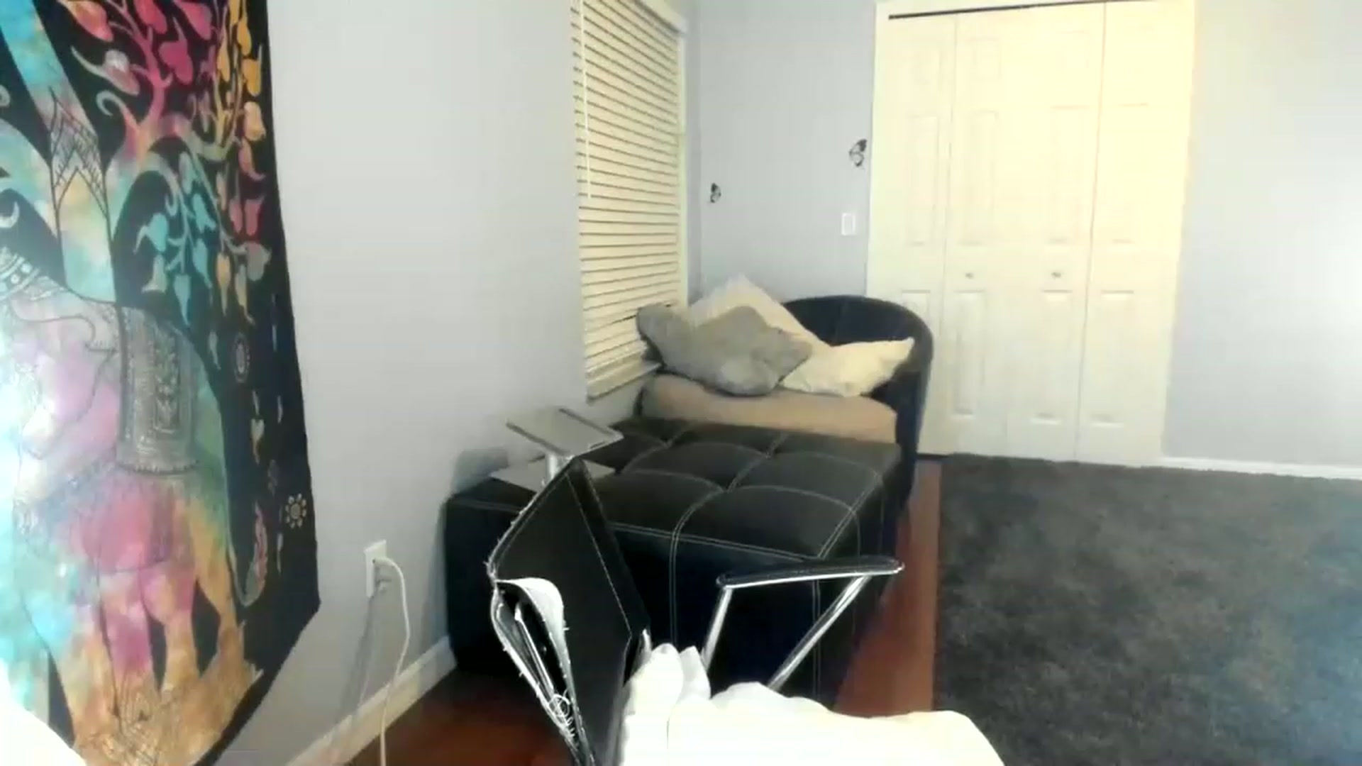 Gallery image thumbnail from Downloads's myfreecams stream on, 07/09/2023, 07:30 image 5 of 20